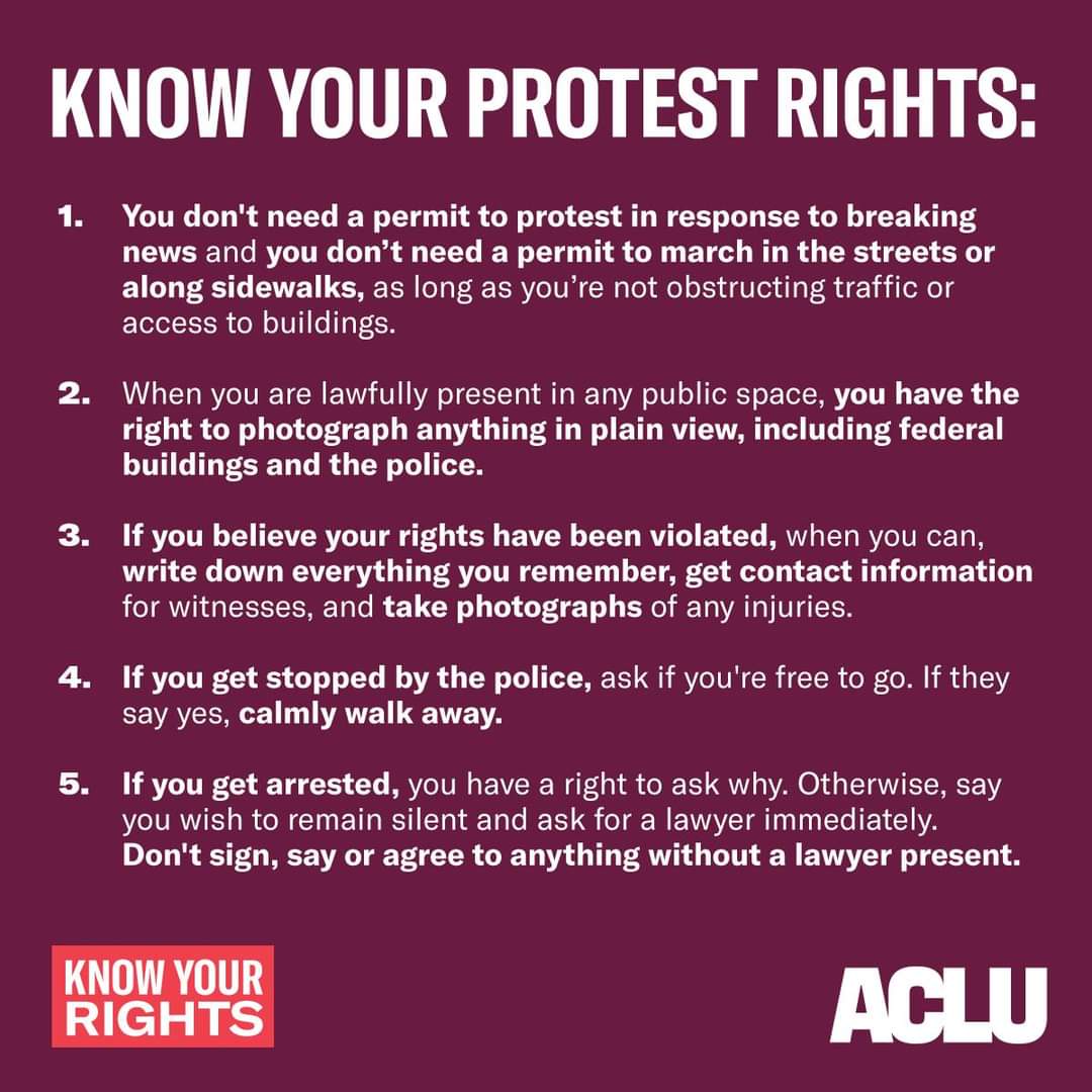 Know Your Rights Before the Protest Hits the Streets