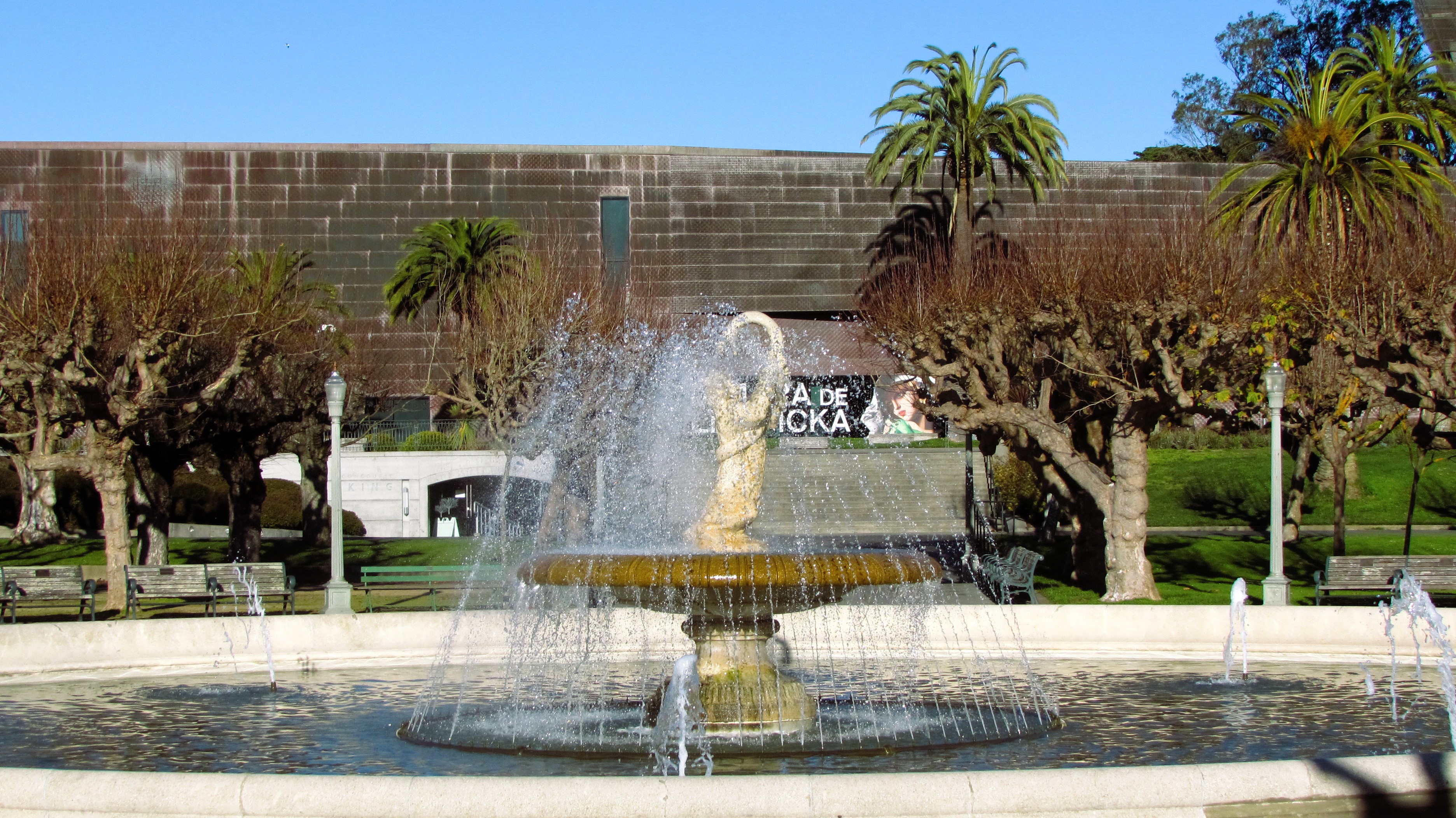 Exploring the Beauty of Golden Gate Park