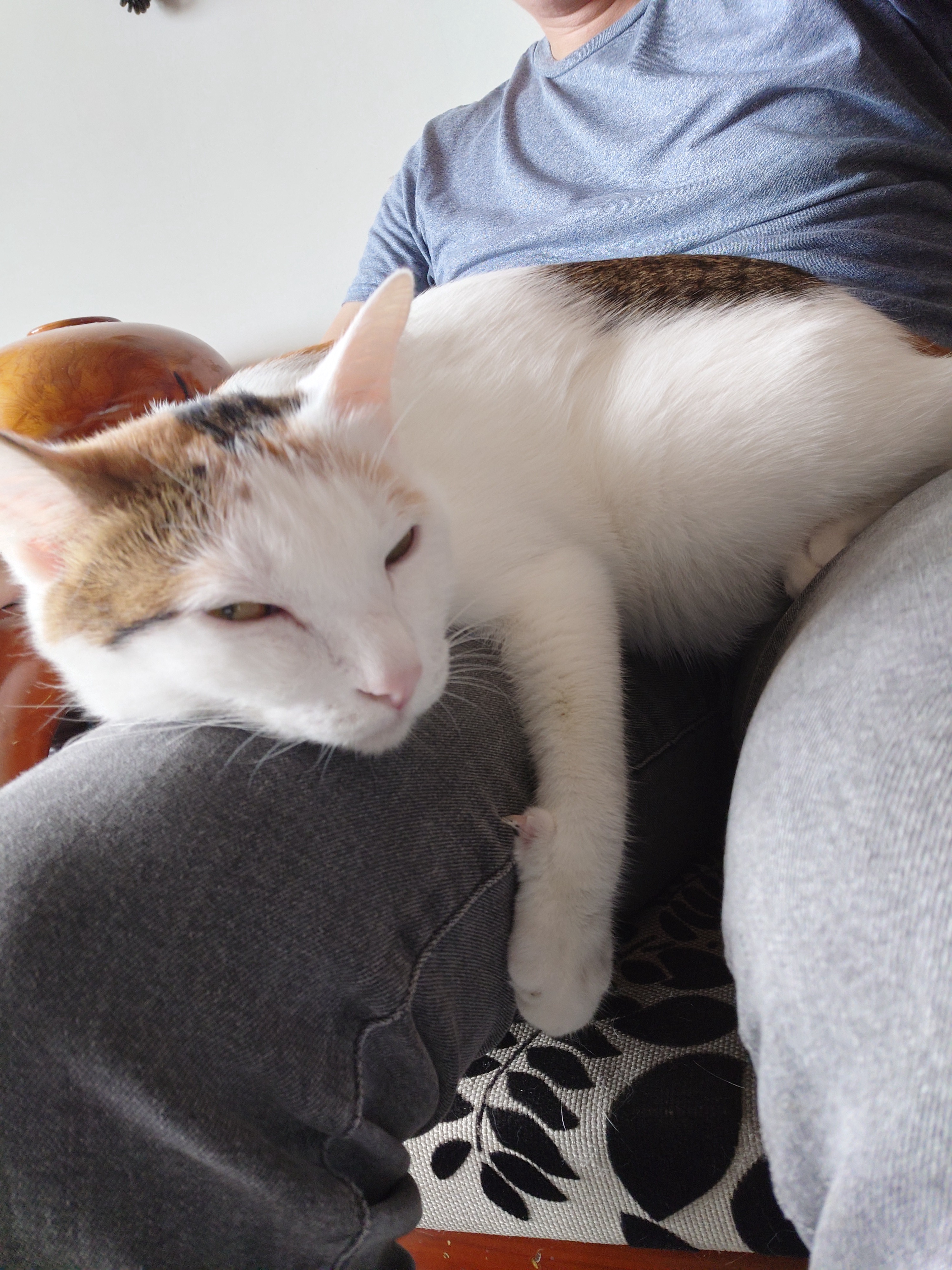 Time for a Quick Nap!
