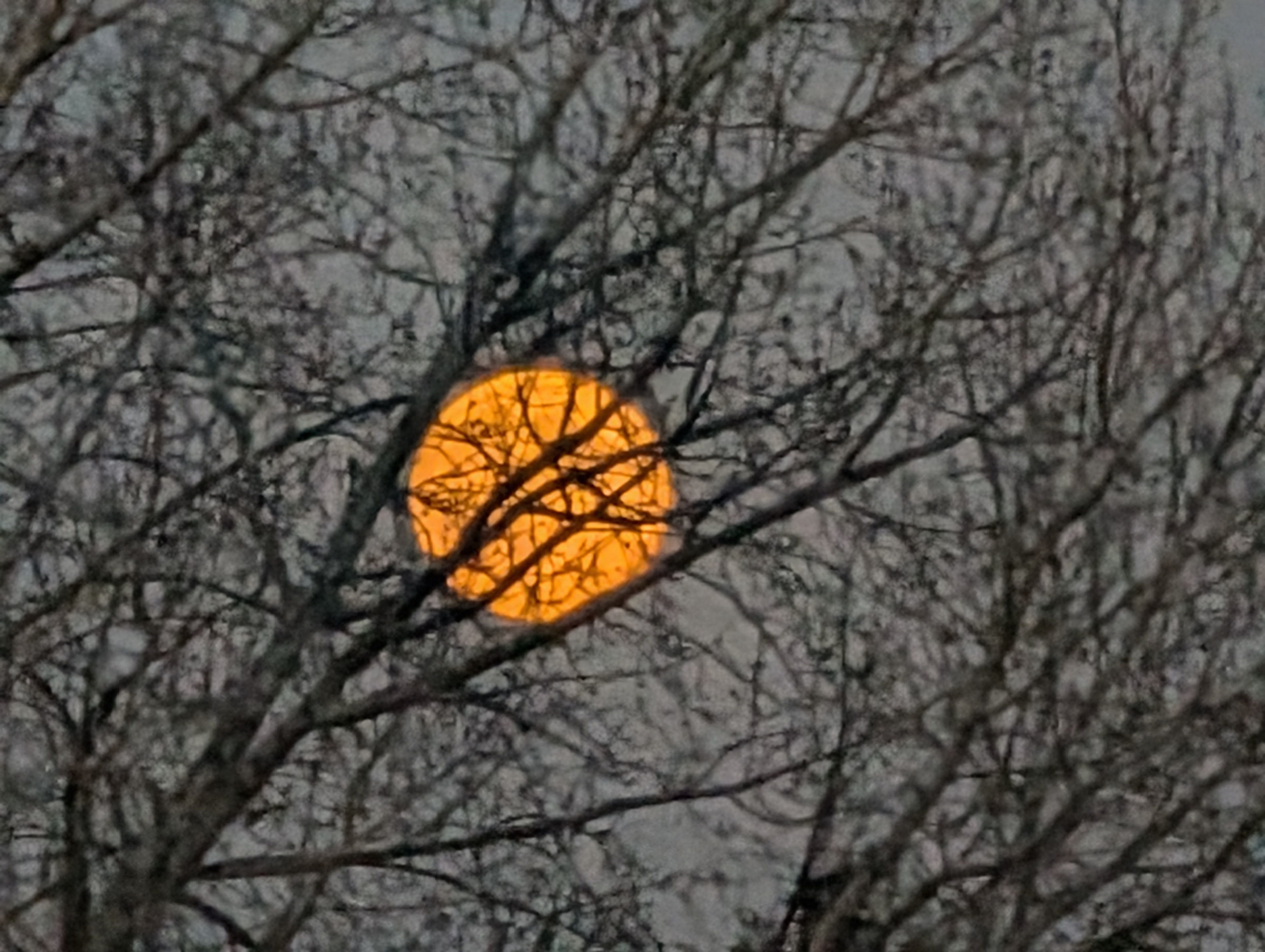 Behold the Hunter's Moon in all its glory.