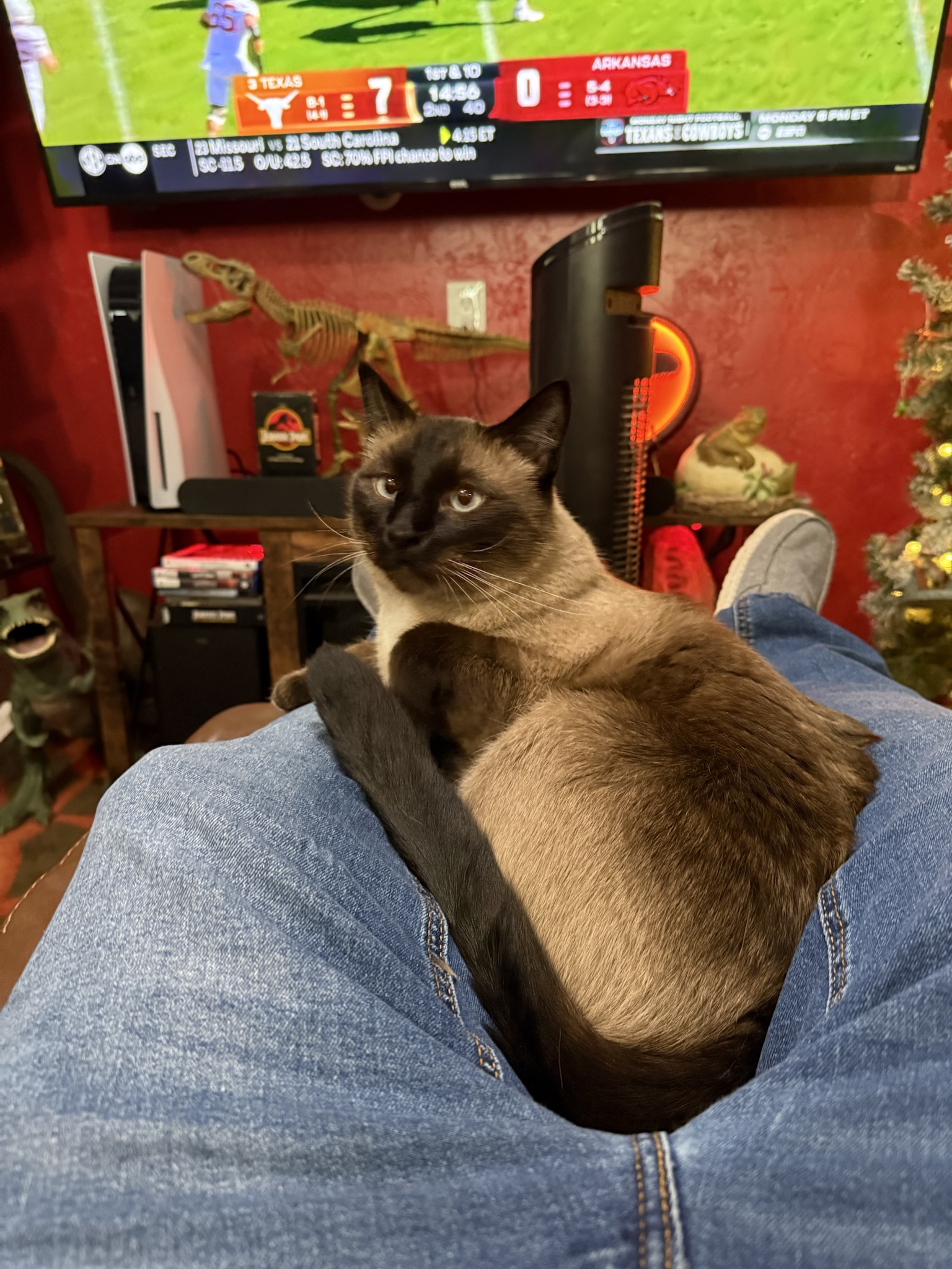 Meet Arlo: the lovable psycho we didn't know we needed