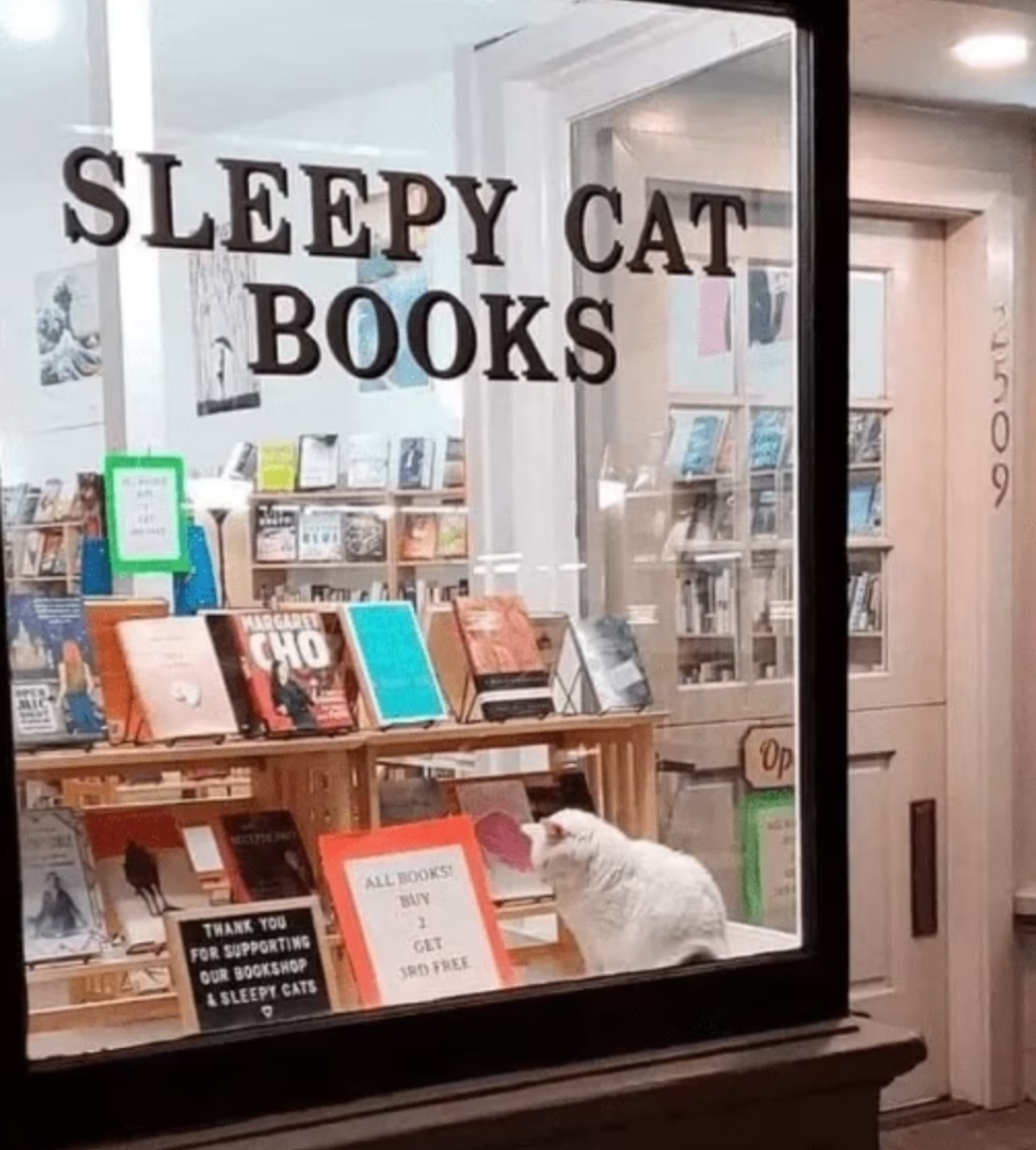 For those days that need a sprinkle of cats and books