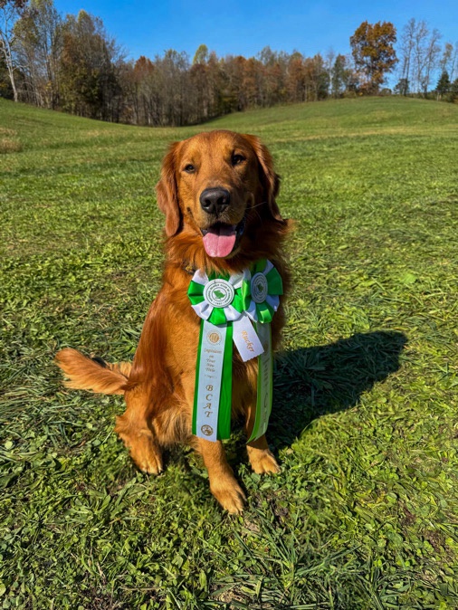 Introducing Rucker: The Newest Star!