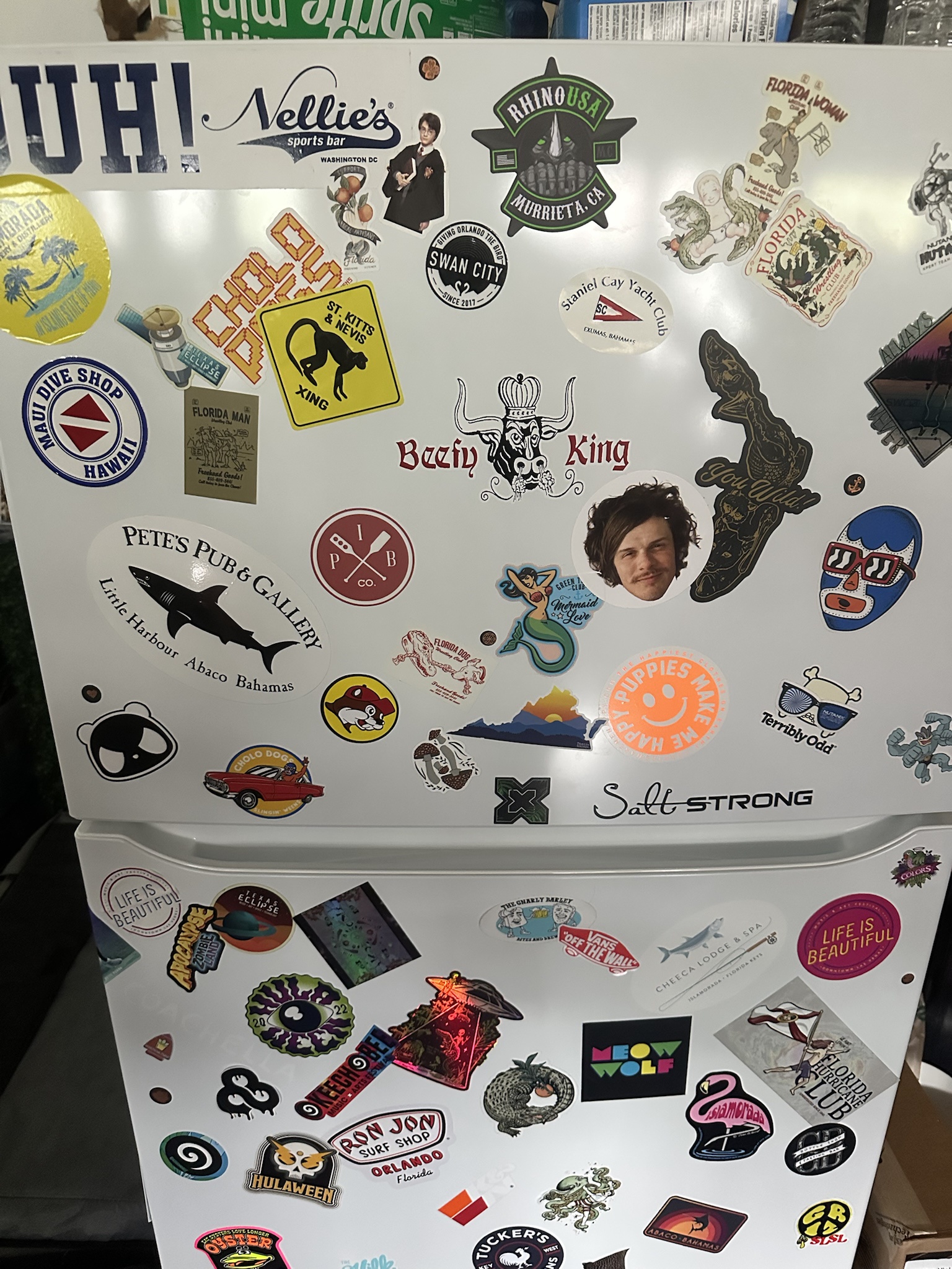 Beer Fridge Decor: A Sticker Wonderland