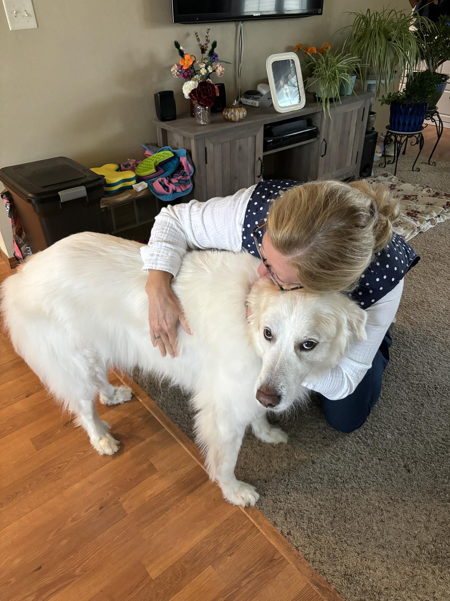 Your Daily Dose of Winter: Day 770 and counting!