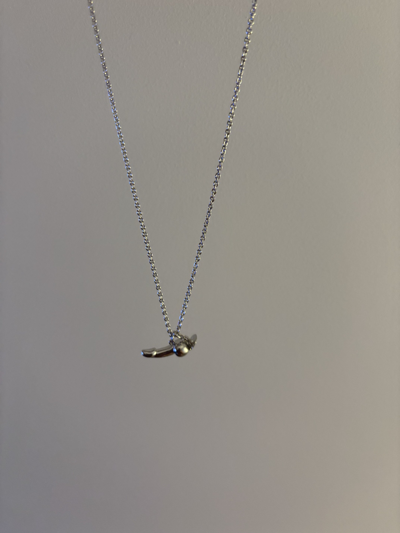 Check Out My New Necklace That Just Arrived!