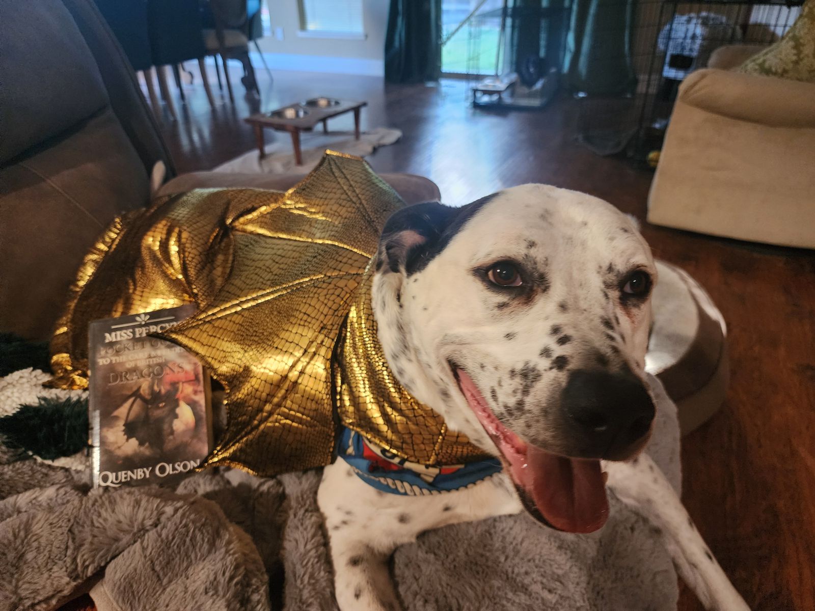 Meet the Joyful Gold Dragon