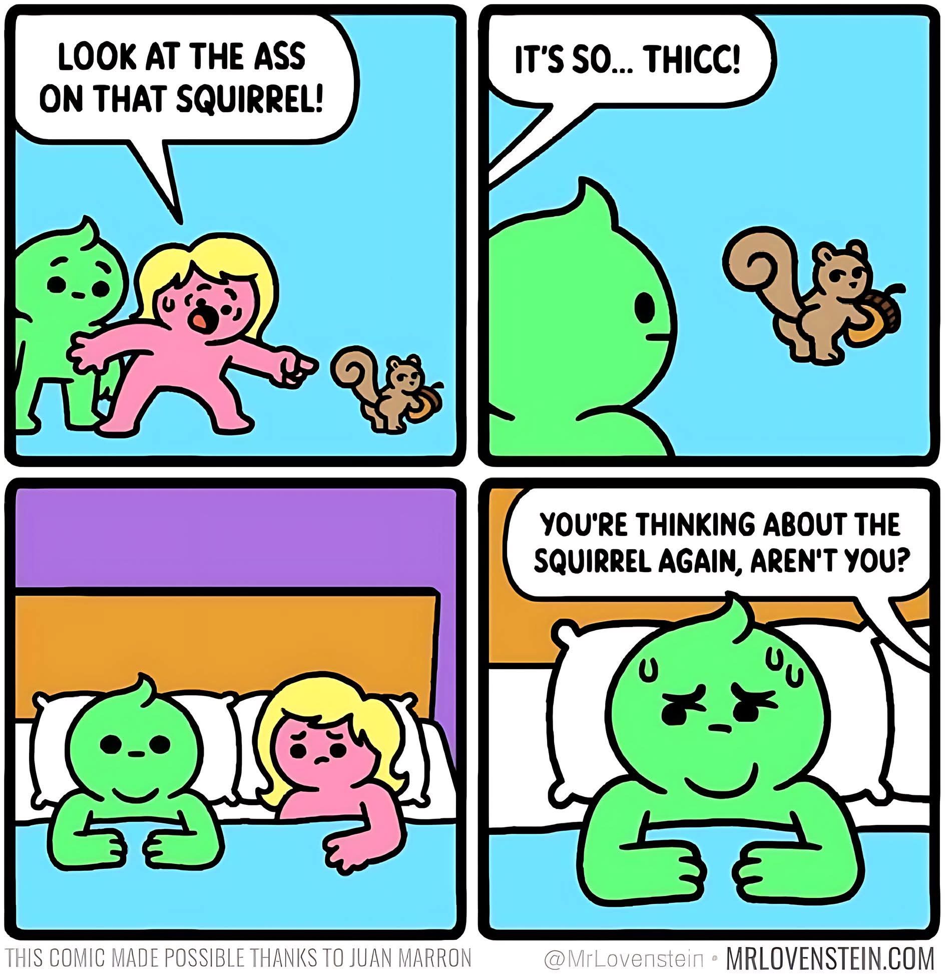 The Adorable Thicc Squirrel Strikes Again