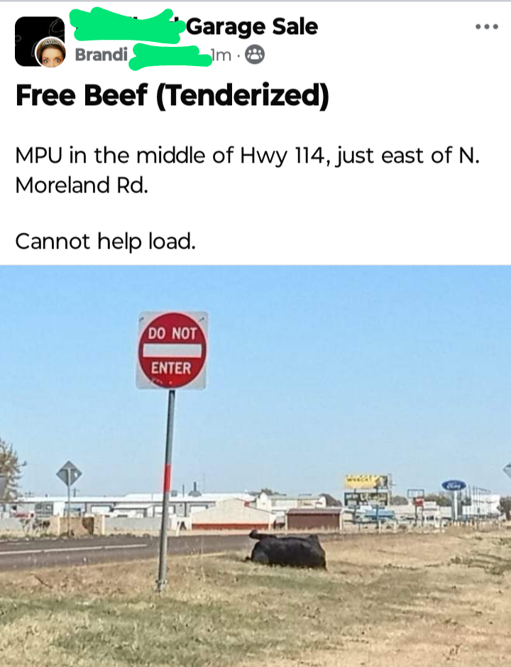 Spotted a cow in the most unexpected place today, and I just had to take a moment.