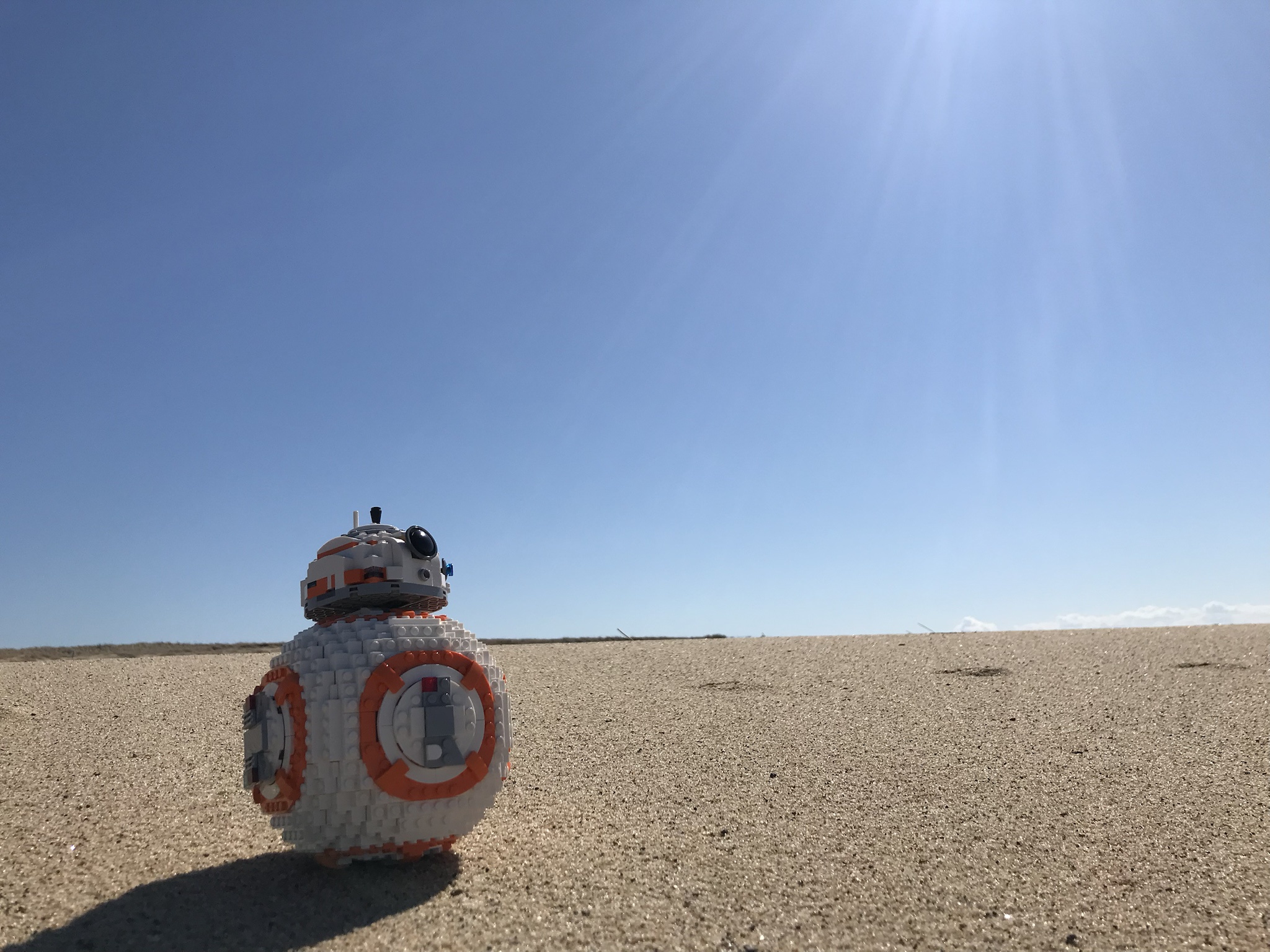 My BB8 Pictures: Definitely Not AI-Generated