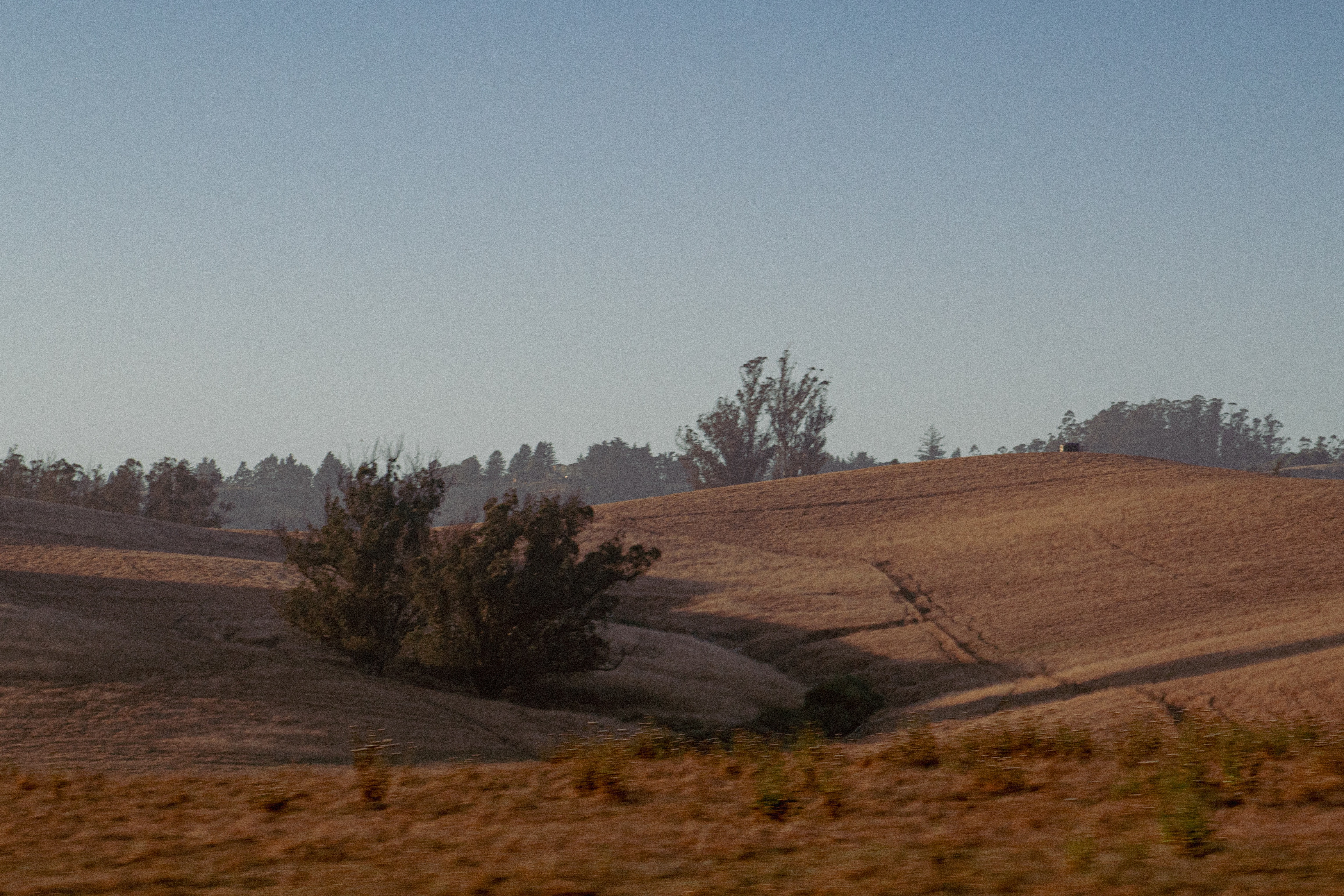 Nostalgic Views from the Scenic Drive to Bodega Bay, California