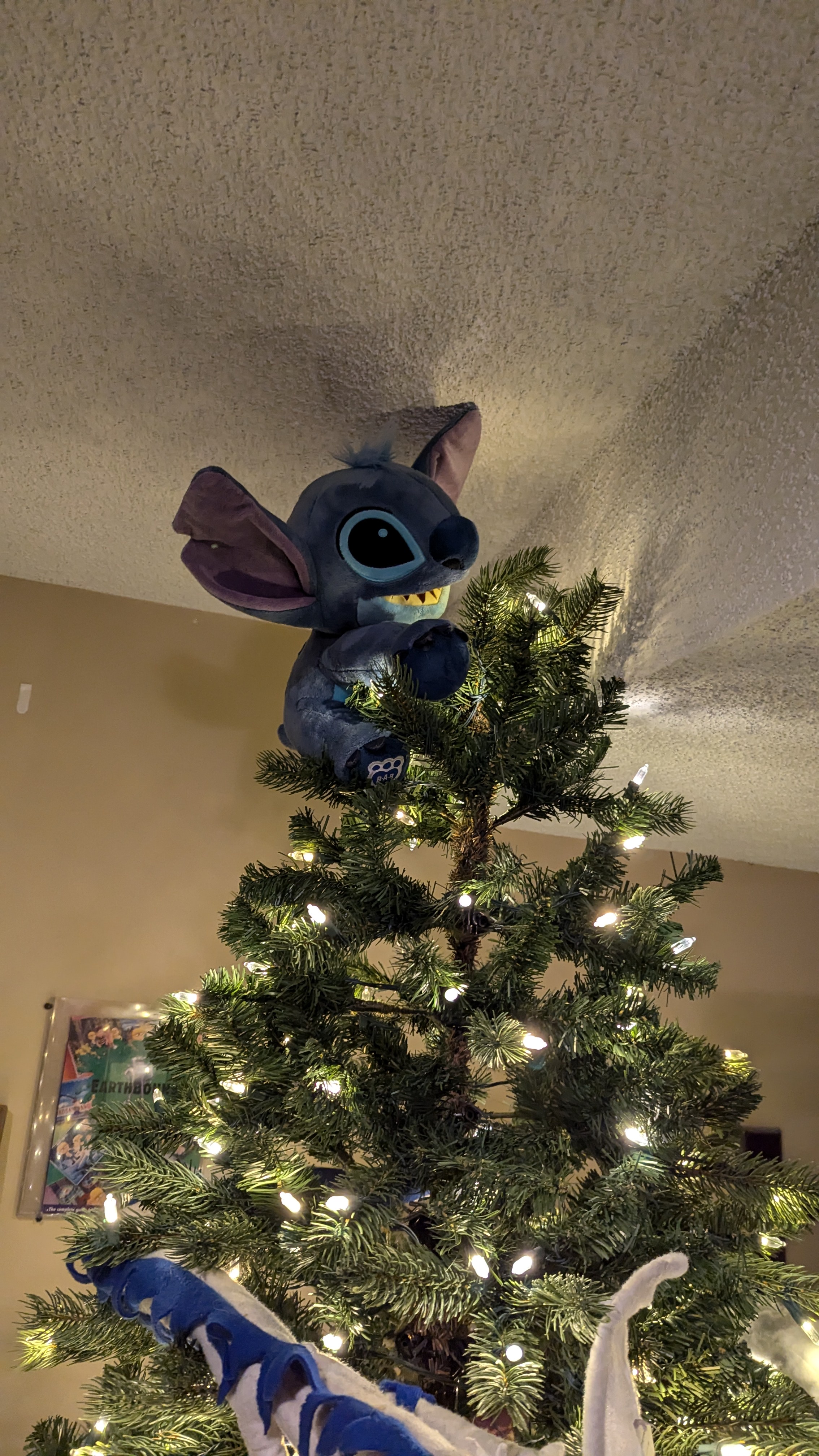 The Moment We Acquired the Christmas Tree Angel