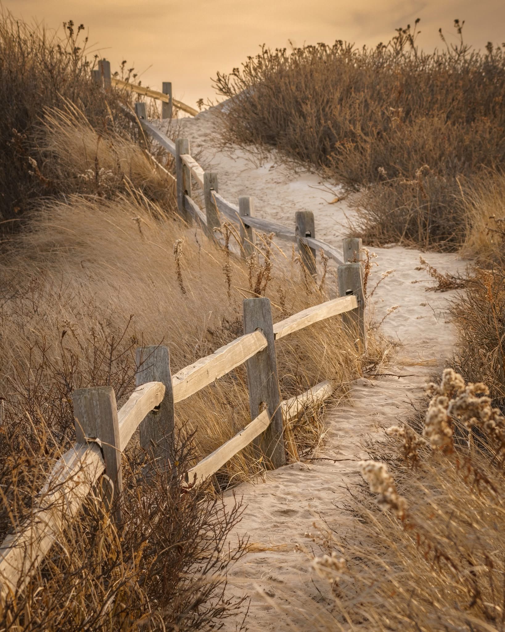 A Journey Beyond the Dune