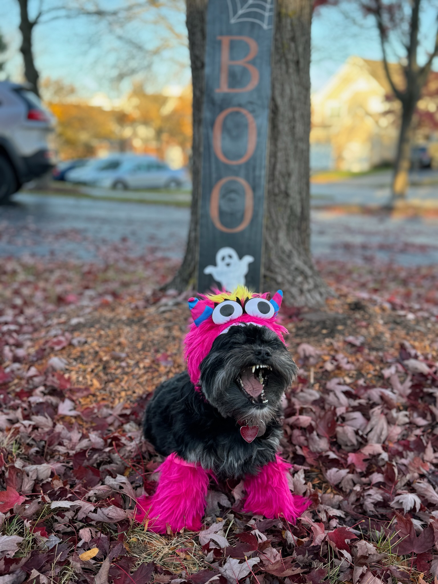 A Roaring Message to All the Little Monsters: "RAWRRR!"