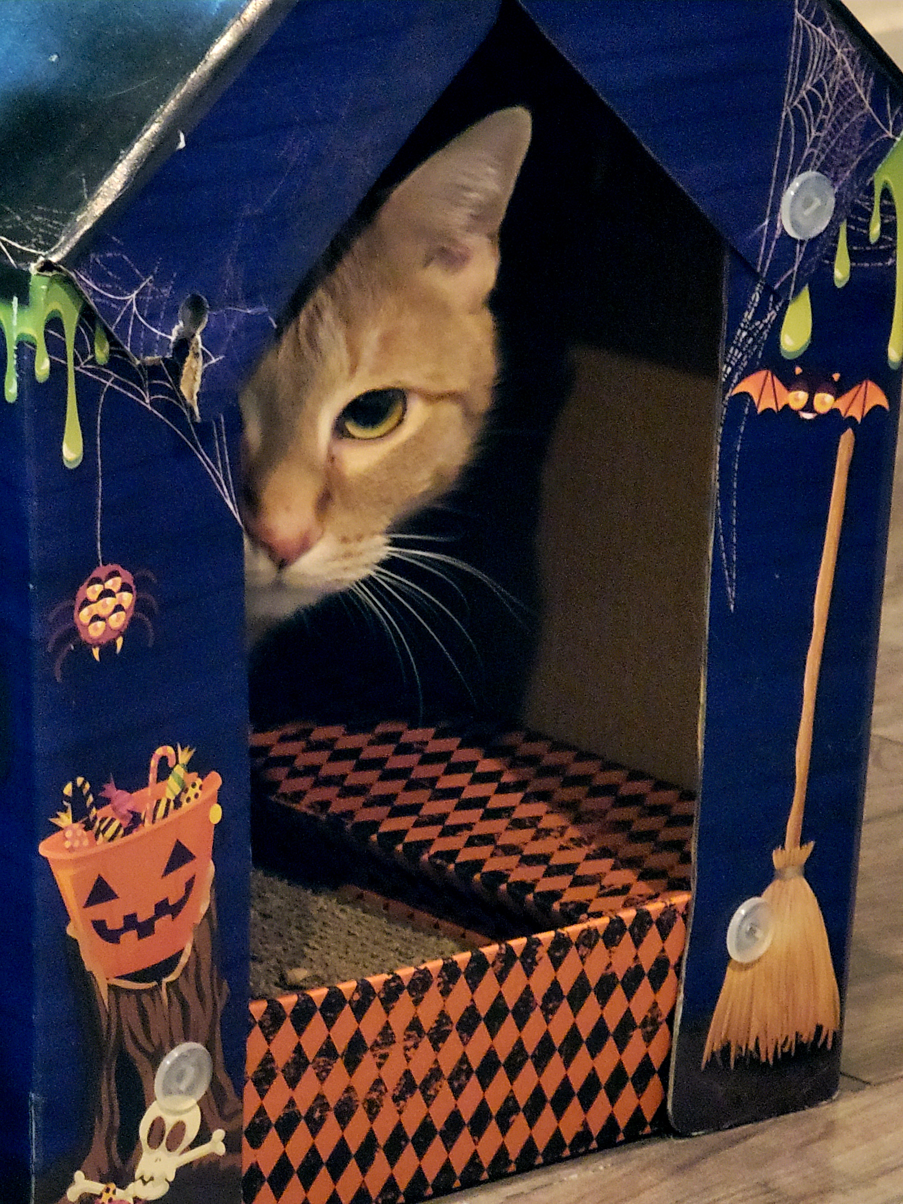 Psssst! Hey Kid, Come Over Here for a Secret