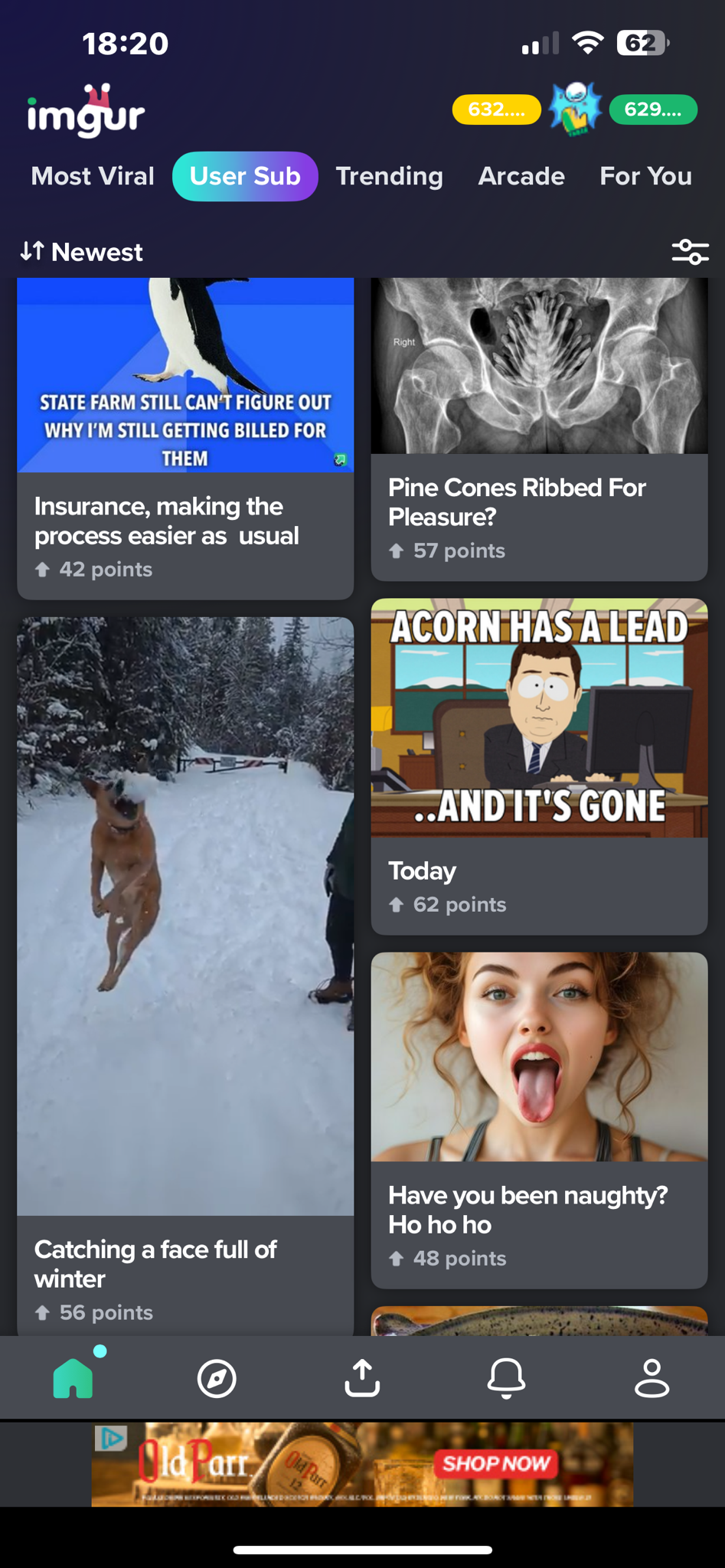 Check out the Pinecones vs Acorns score in the top right corner on Apple!
