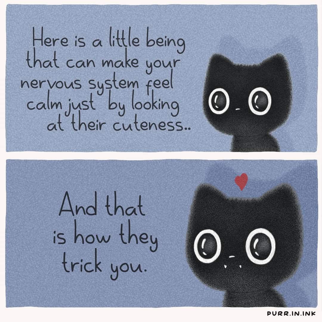 Need a Pick-Me-Up? Here's a Boost and a Smile for You!