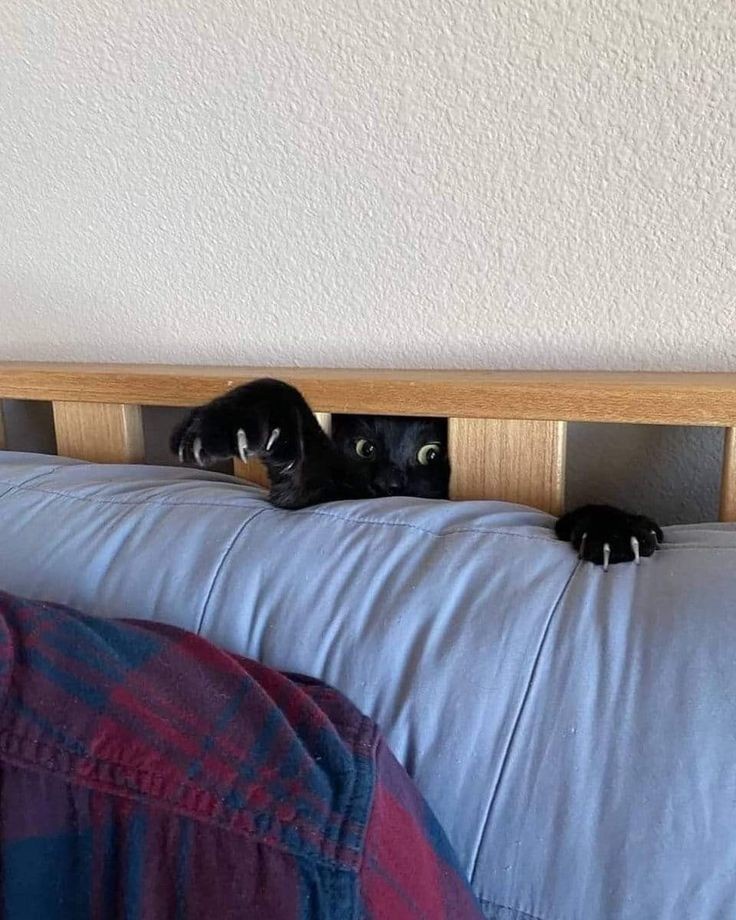 The Terrifying Truth: There's a Monster Under the Bed