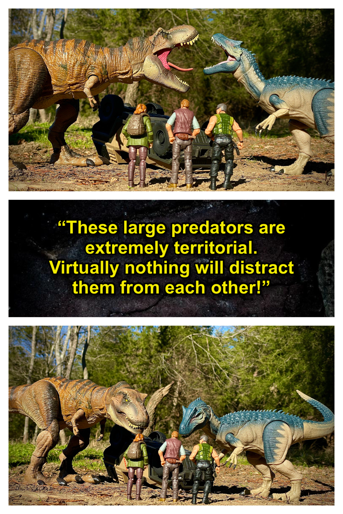 Not Quite Territorial Enough