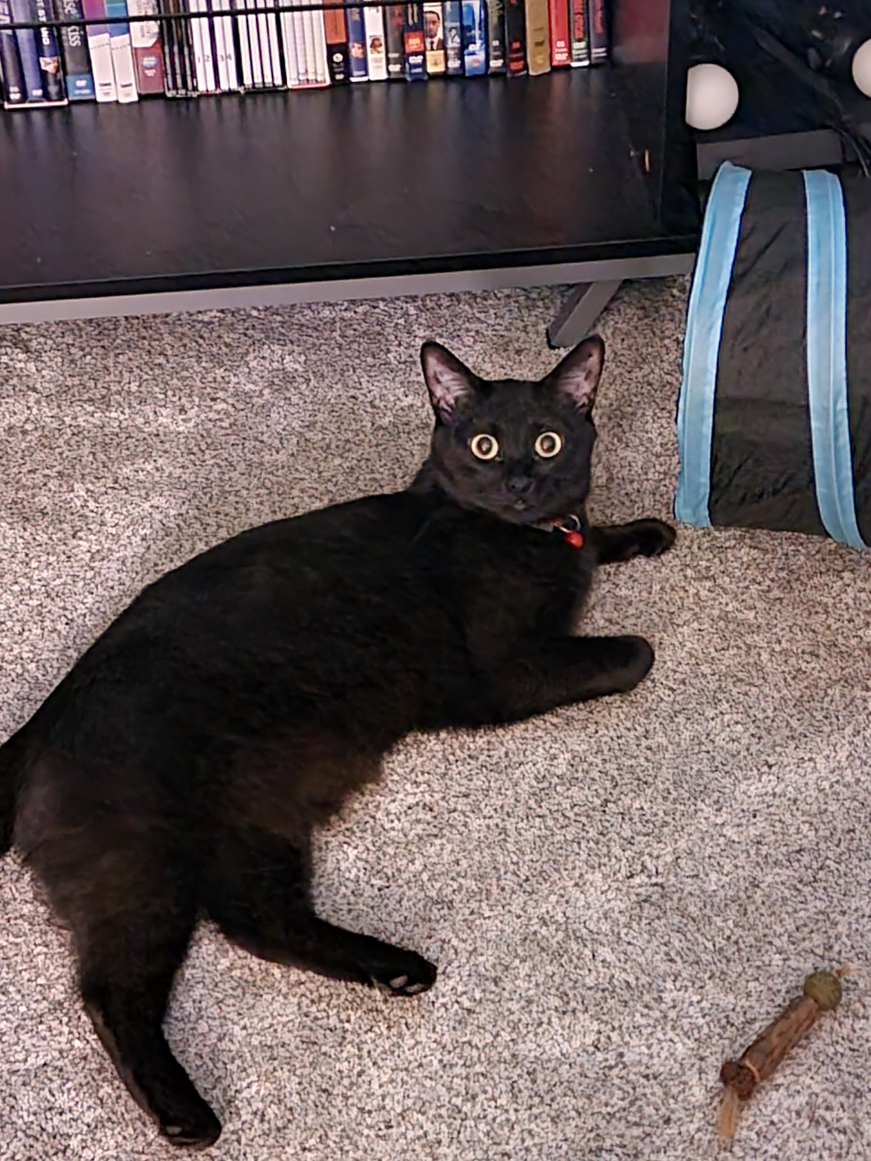 Nyx's fashion critique: "What on earth are you wearing?!?"