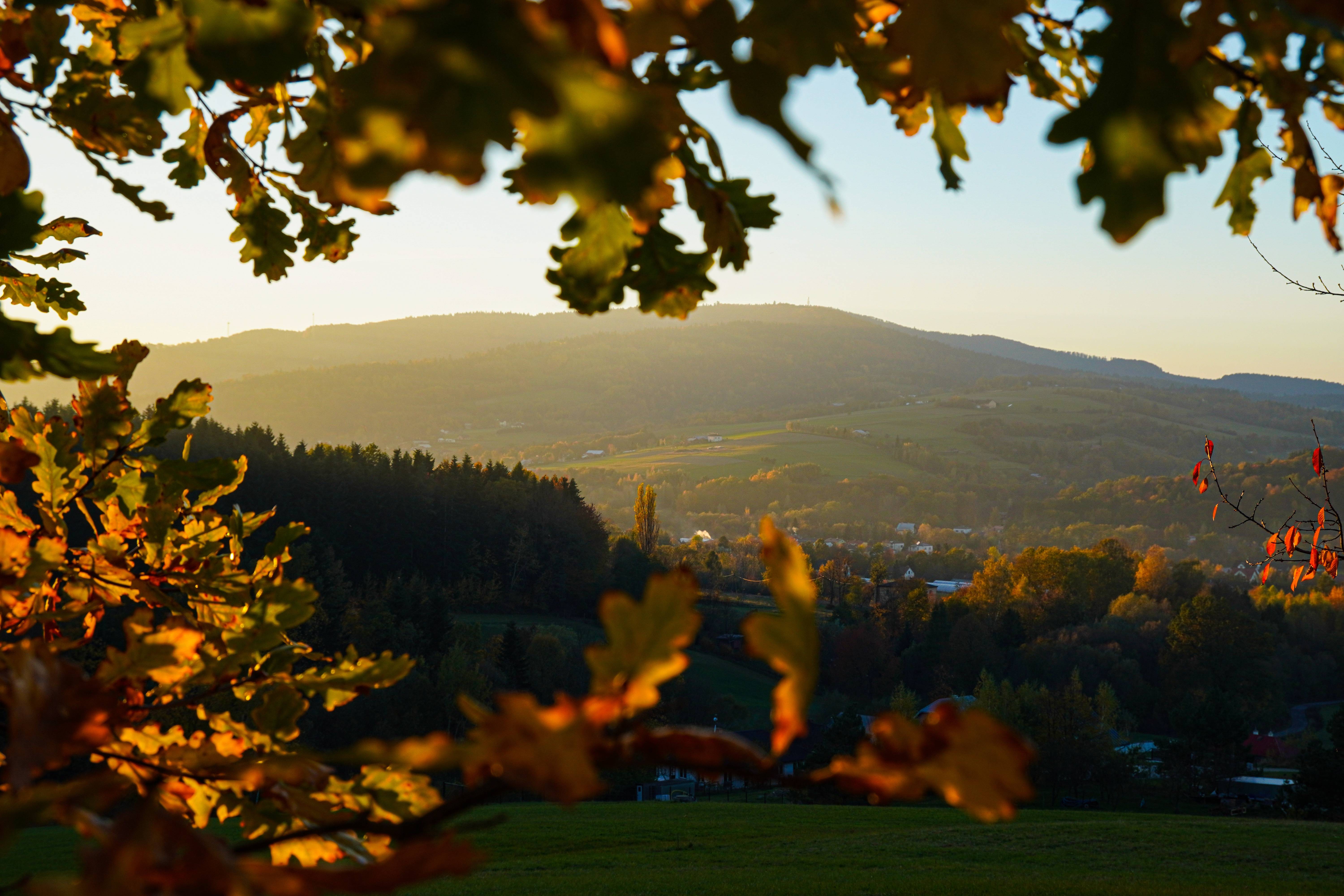 Autumn Vibes on October 24, 2024