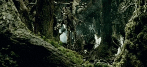 Calling for Ent Support for Team Pine Cone: Round Two!