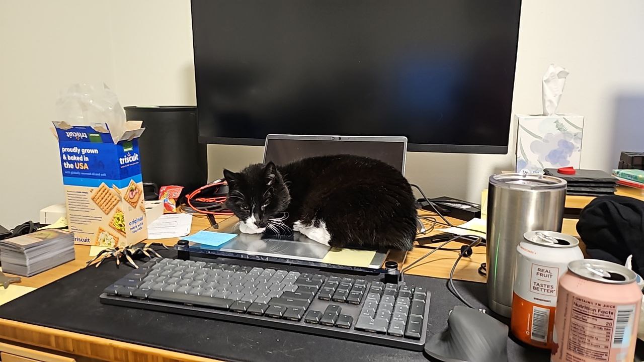 Richard is Obsessed with His New Laptop Cover!