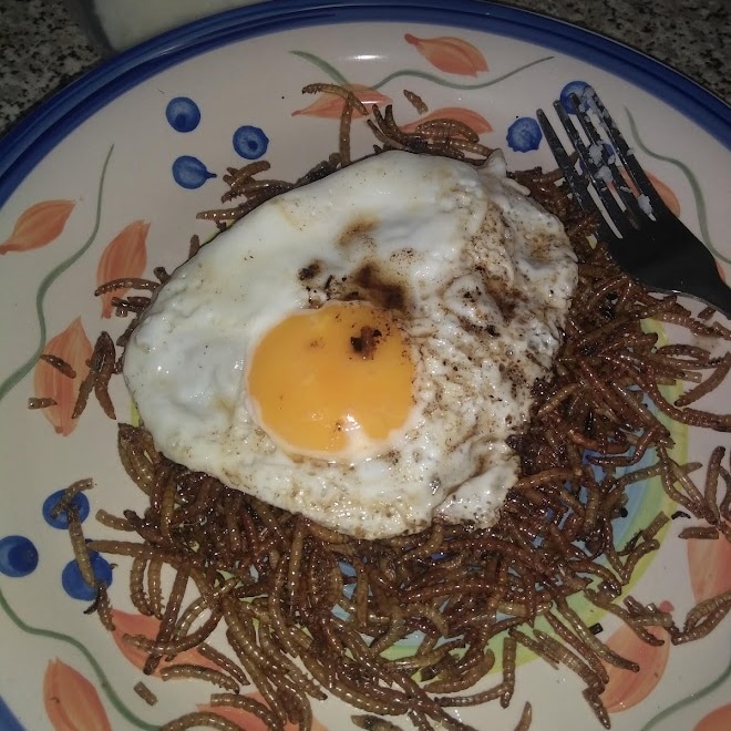 A Fried Egg Served with Freeze-Dried Mealworms