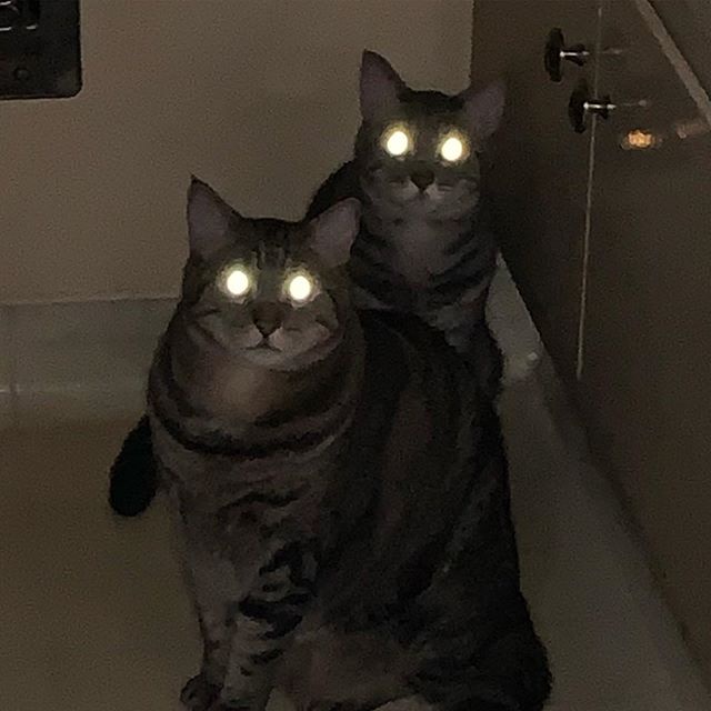 Flirting with You: Those Eyes Say It All!