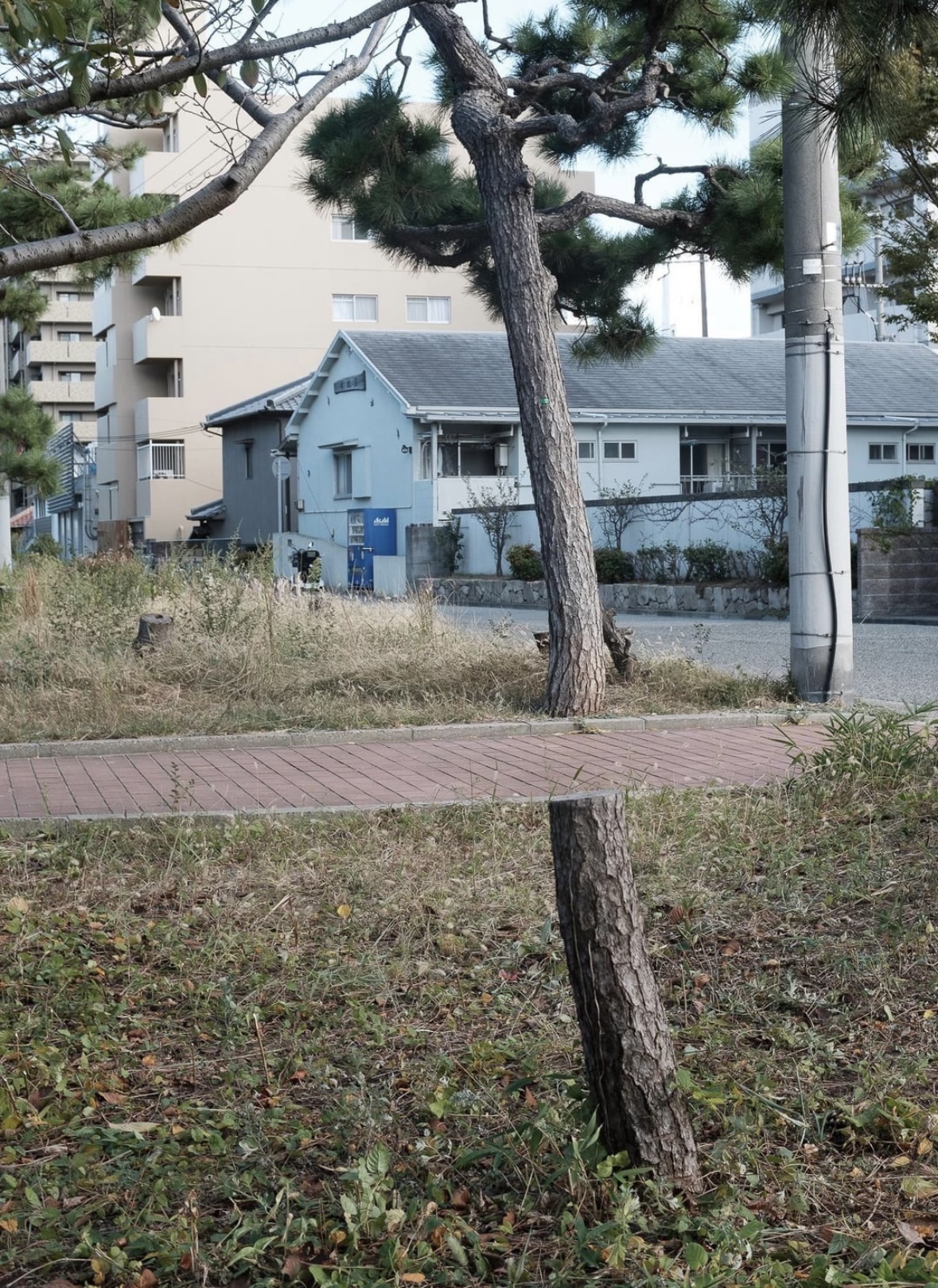 When Bethesda Graphics Become Real Life