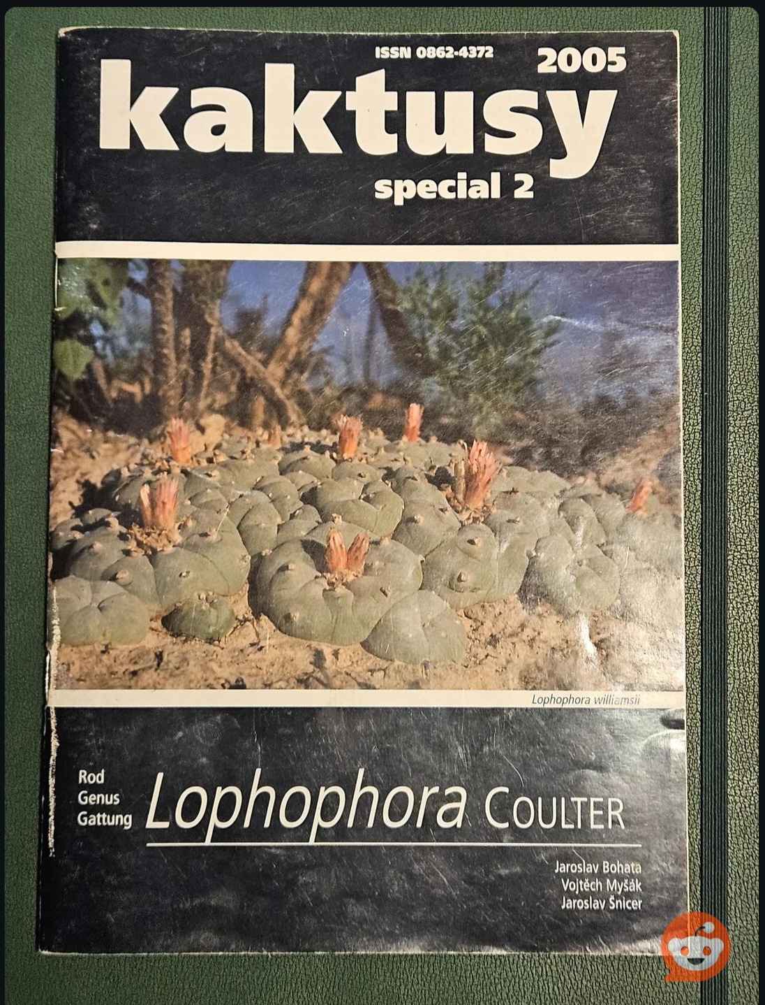 Excited to Dive into My Cactus Collection Tonight