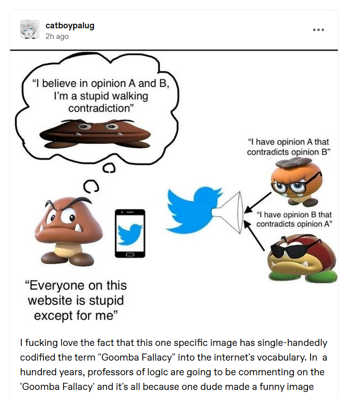 The Goomba Fallacy Explained