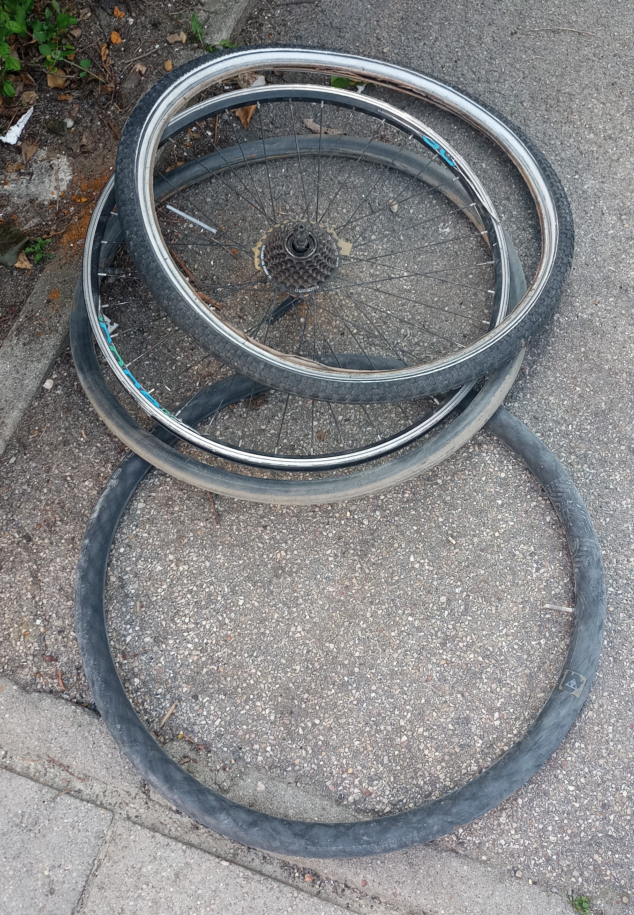 A Glimpse into My Day: September 25, 2024, Found Object Art