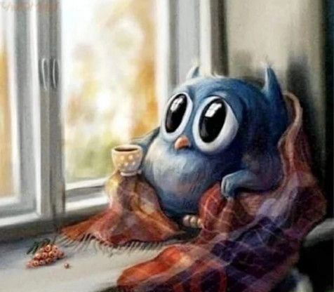 Perfect Weather to Snuggle Up and Get Cozy