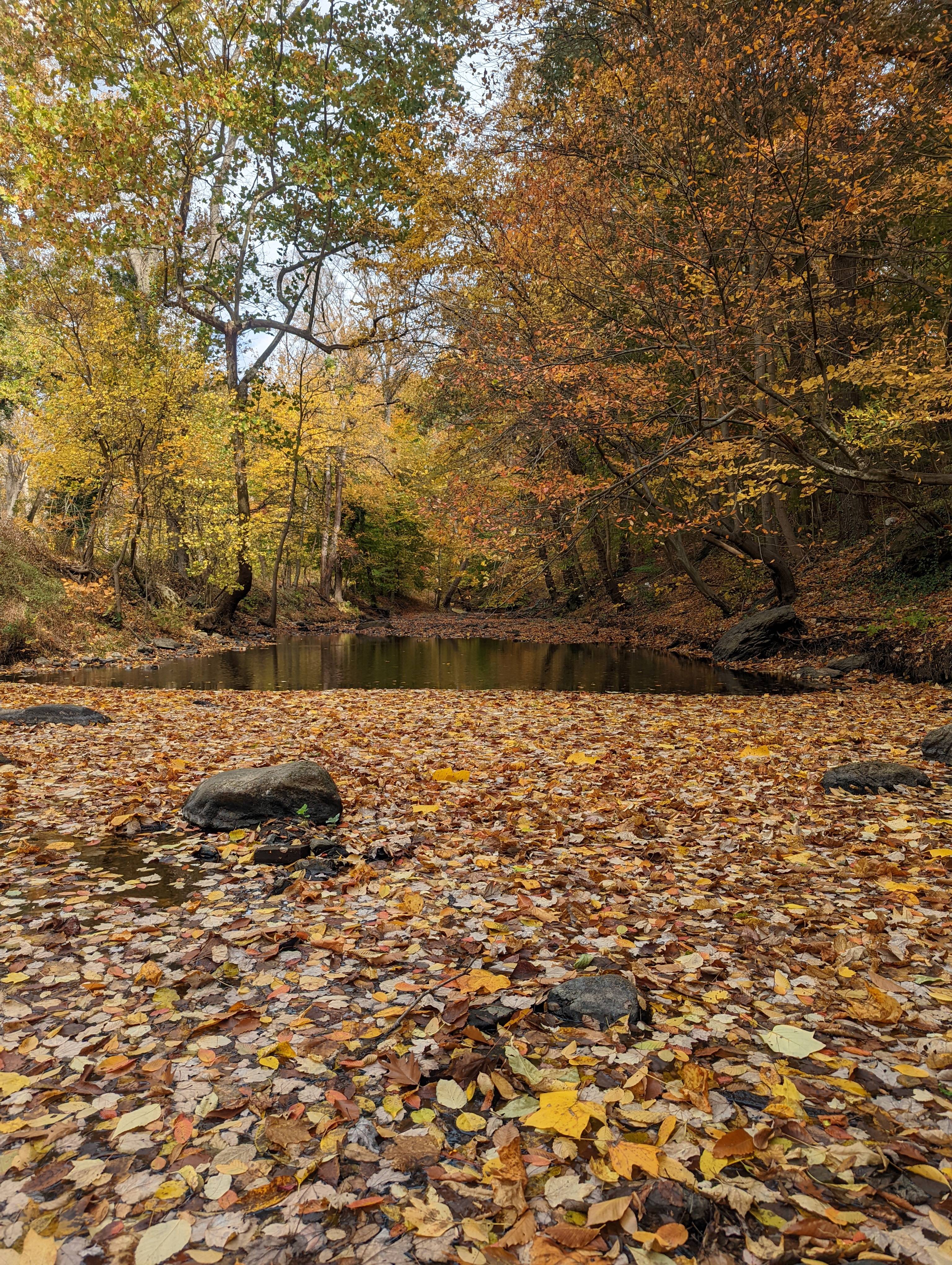Discovering the Charm of Swarthmore, PA