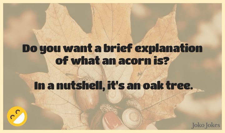 I had to ask myself: Am I crazy enough to join Team Acorn? Absolutely, yes!