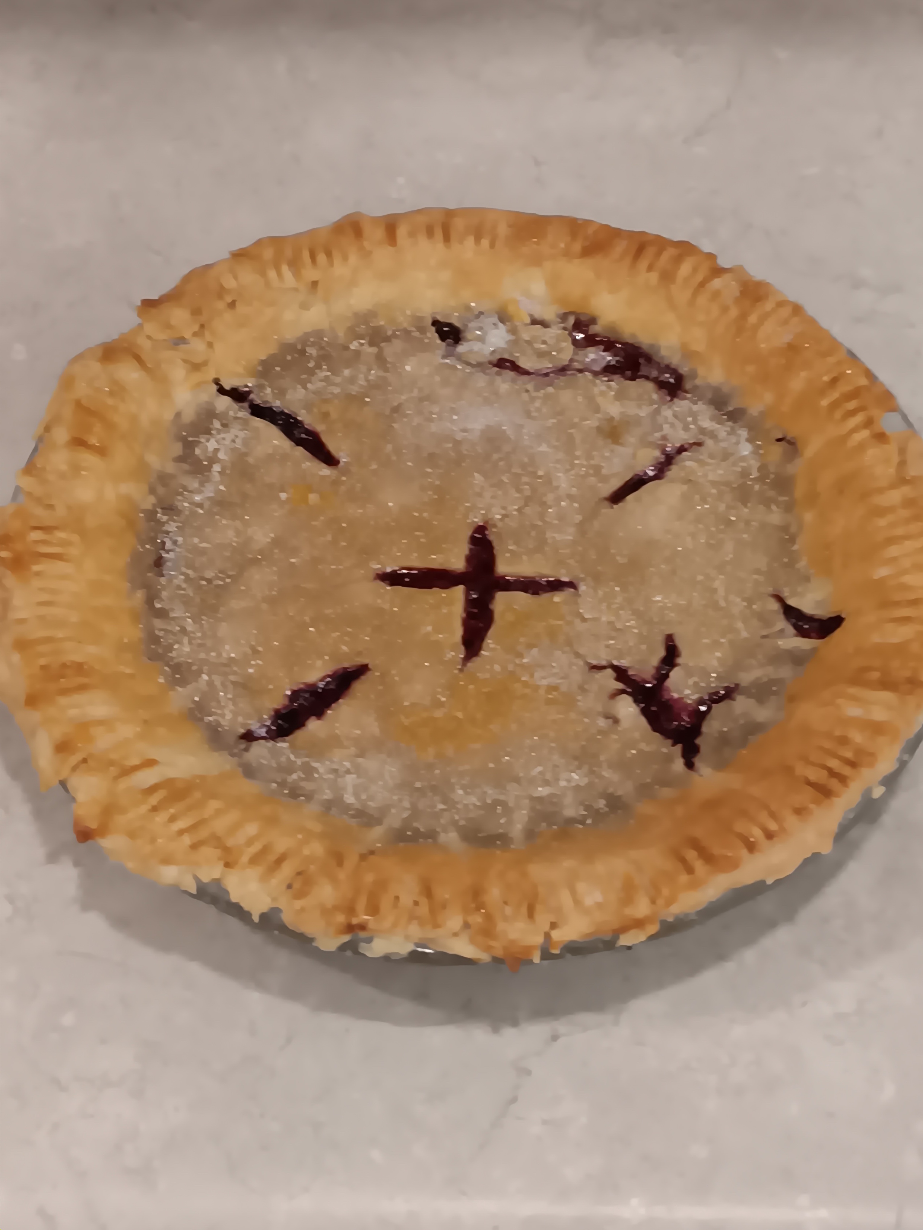 Delicious Homemade Blackberry Pie Recipe!