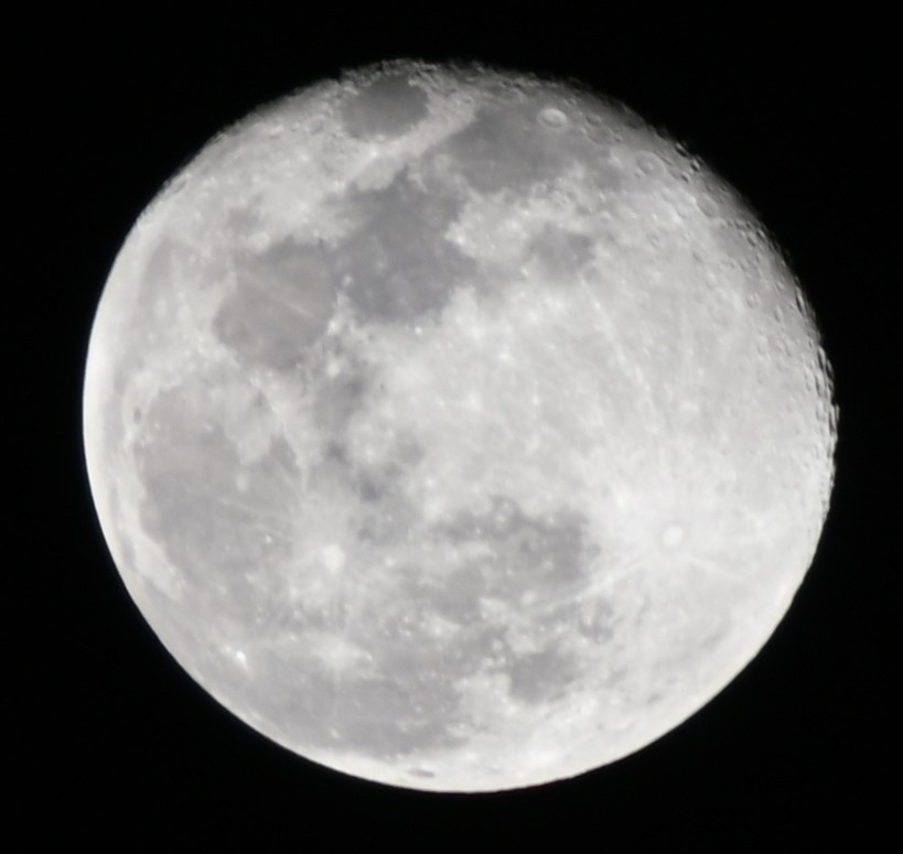 Check out the stunning moon lighting up the night sky!