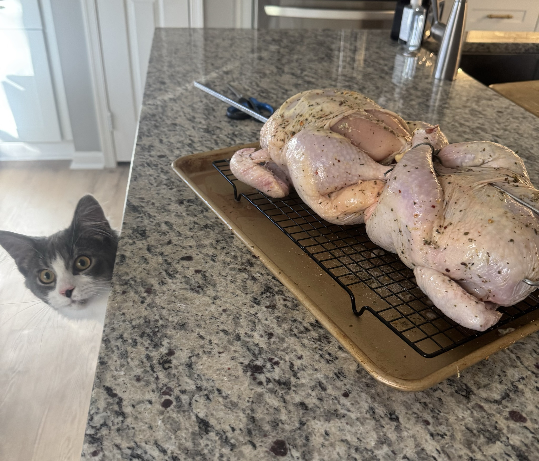 Is that chicken I see?
