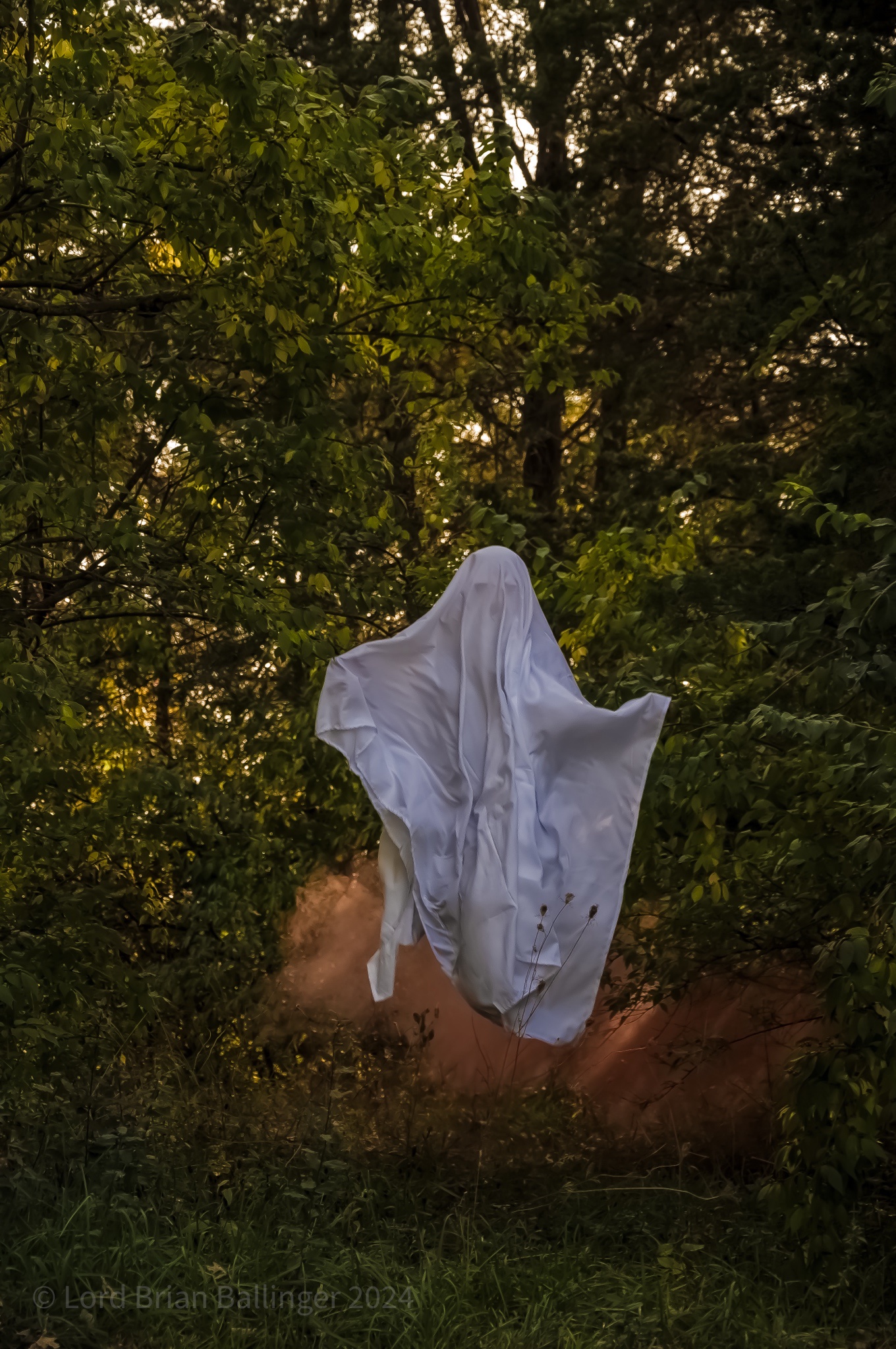 Eerie Encounter: A Ghostly Figure Wandering Through the Woods