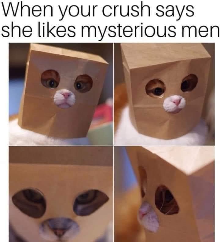 Embracing My Mysterious Side
