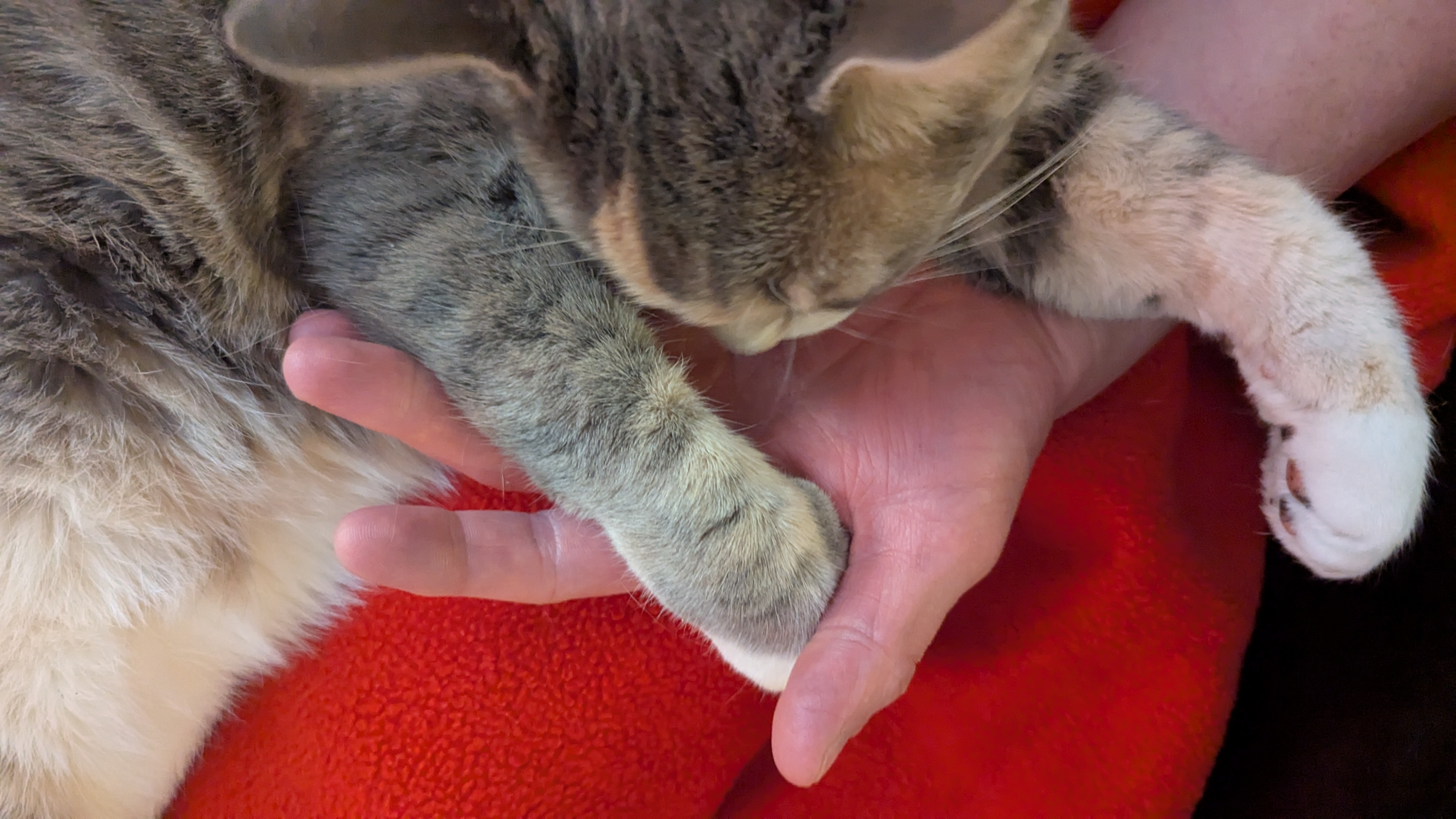 Someone's Using My Hand as a Seat...