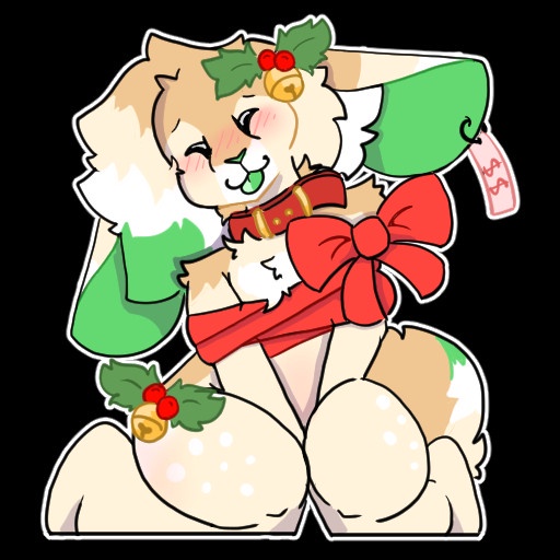 The ultimate gift that everyone dreams of!