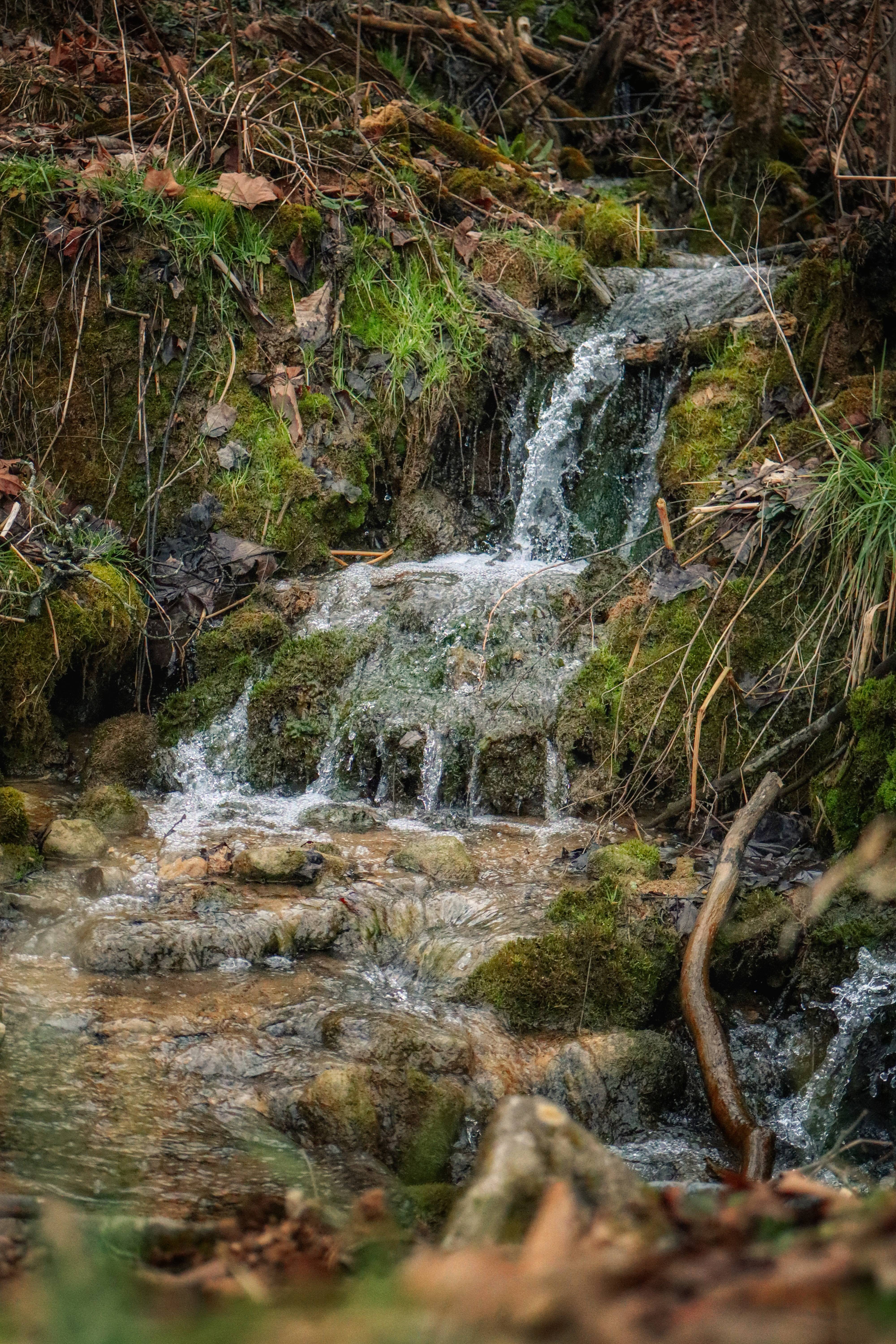 The Majestic Waterfall Experience