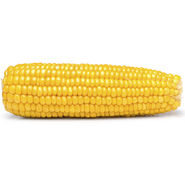 Just a corn enthusiast on my team...