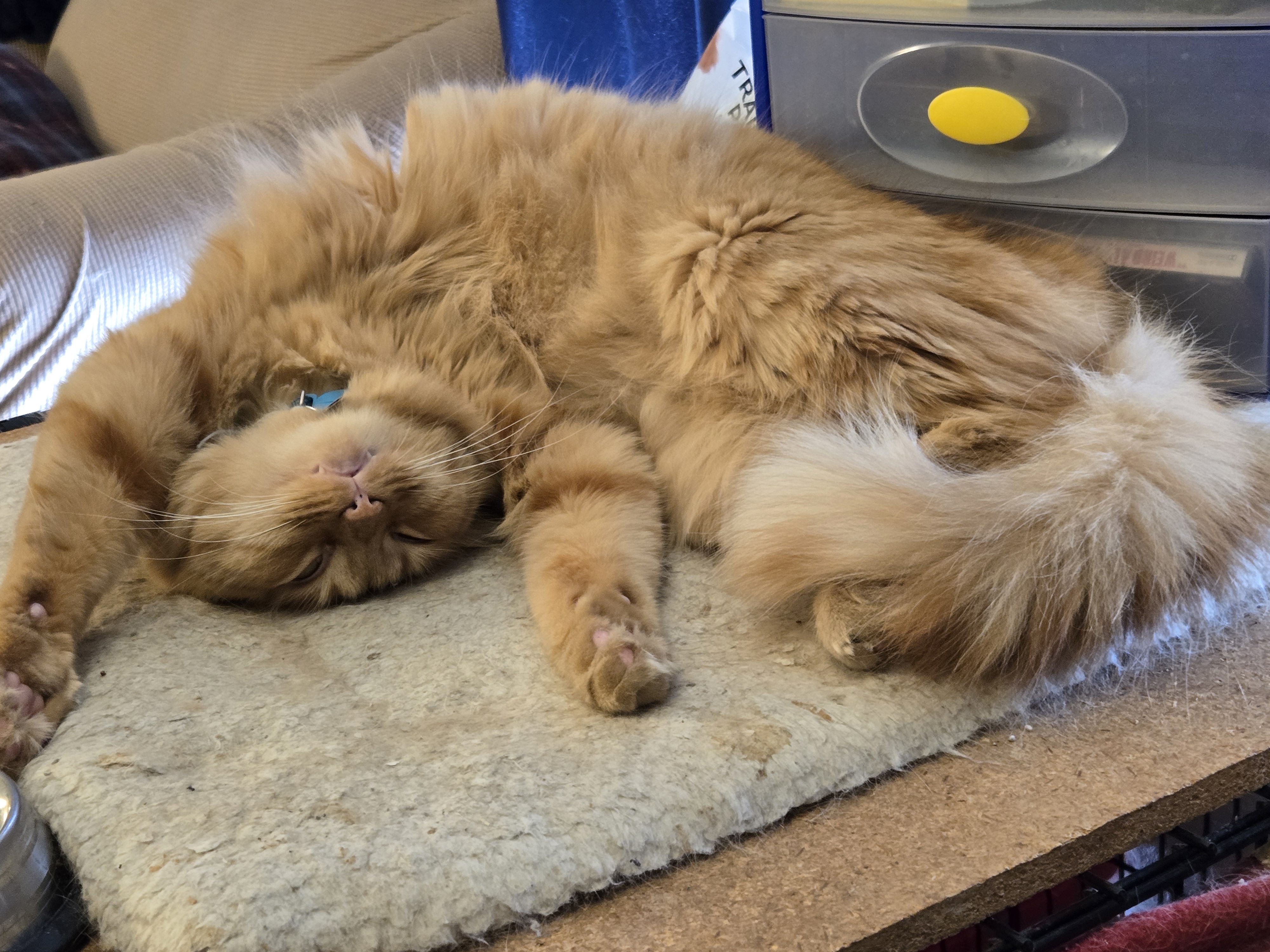 The Struggle of a Sleepy Friday