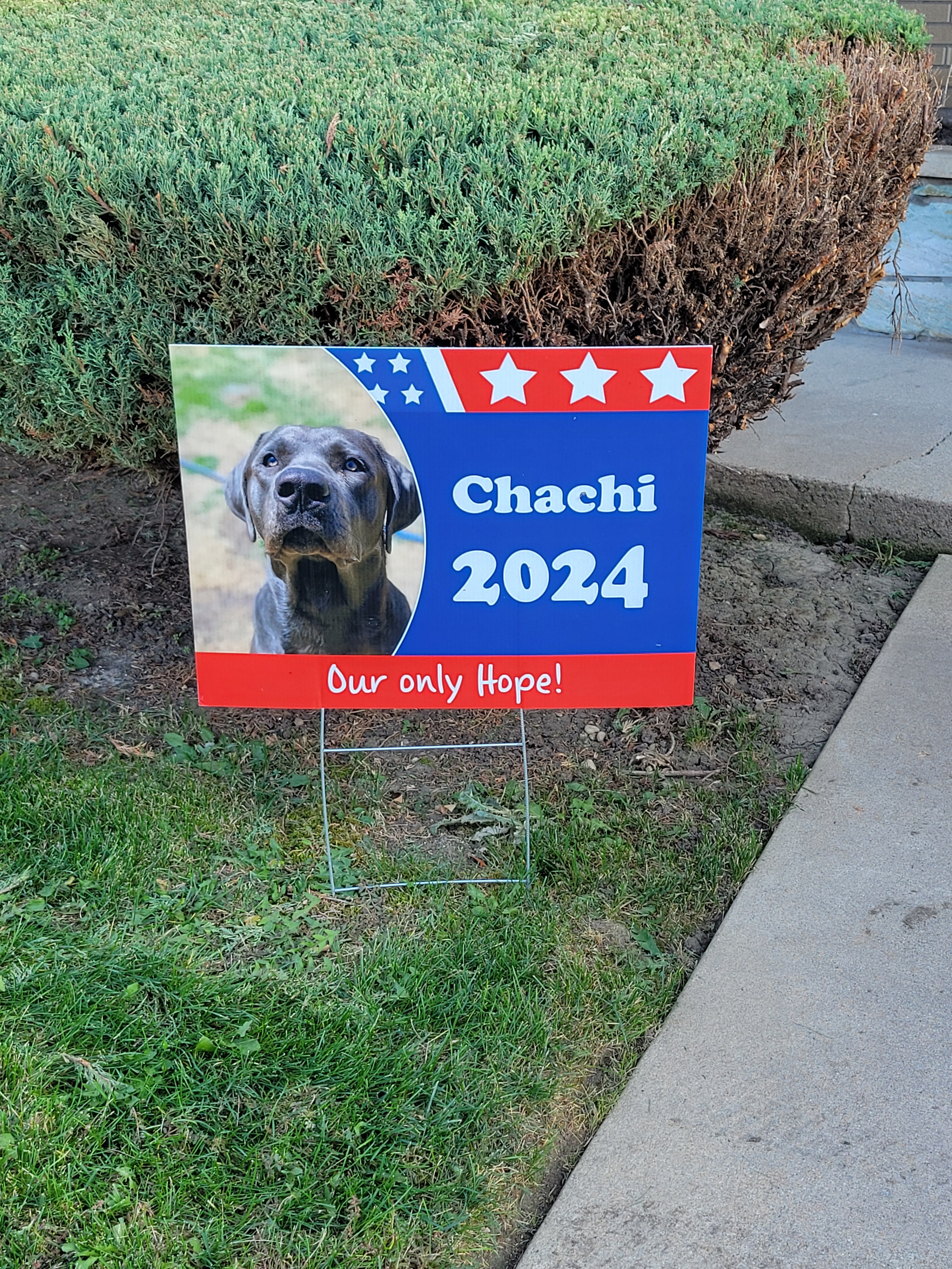This One Definitely Has My Support!