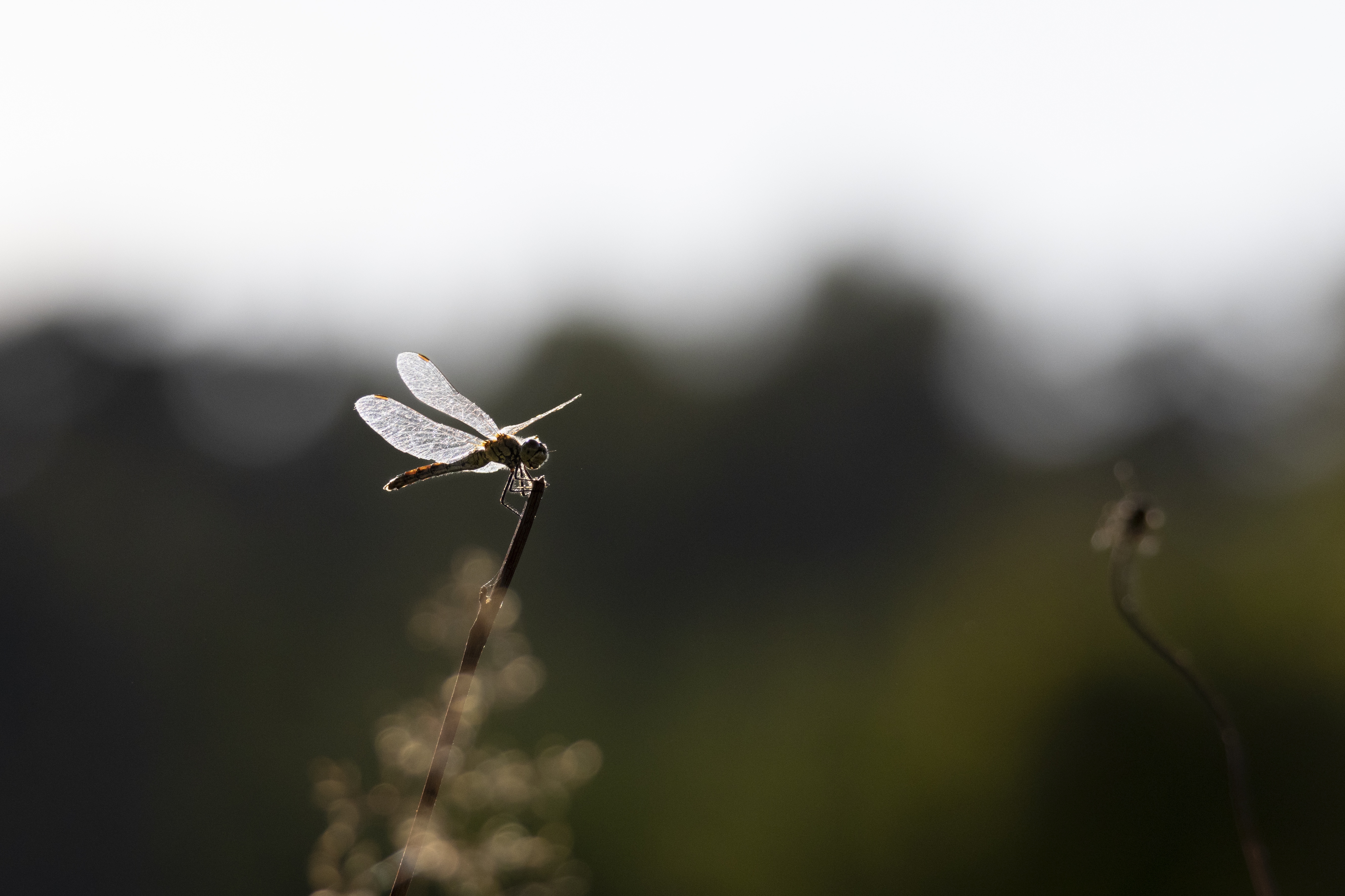 Capturing Nature's Beauty: Day One of Our Photo Journey