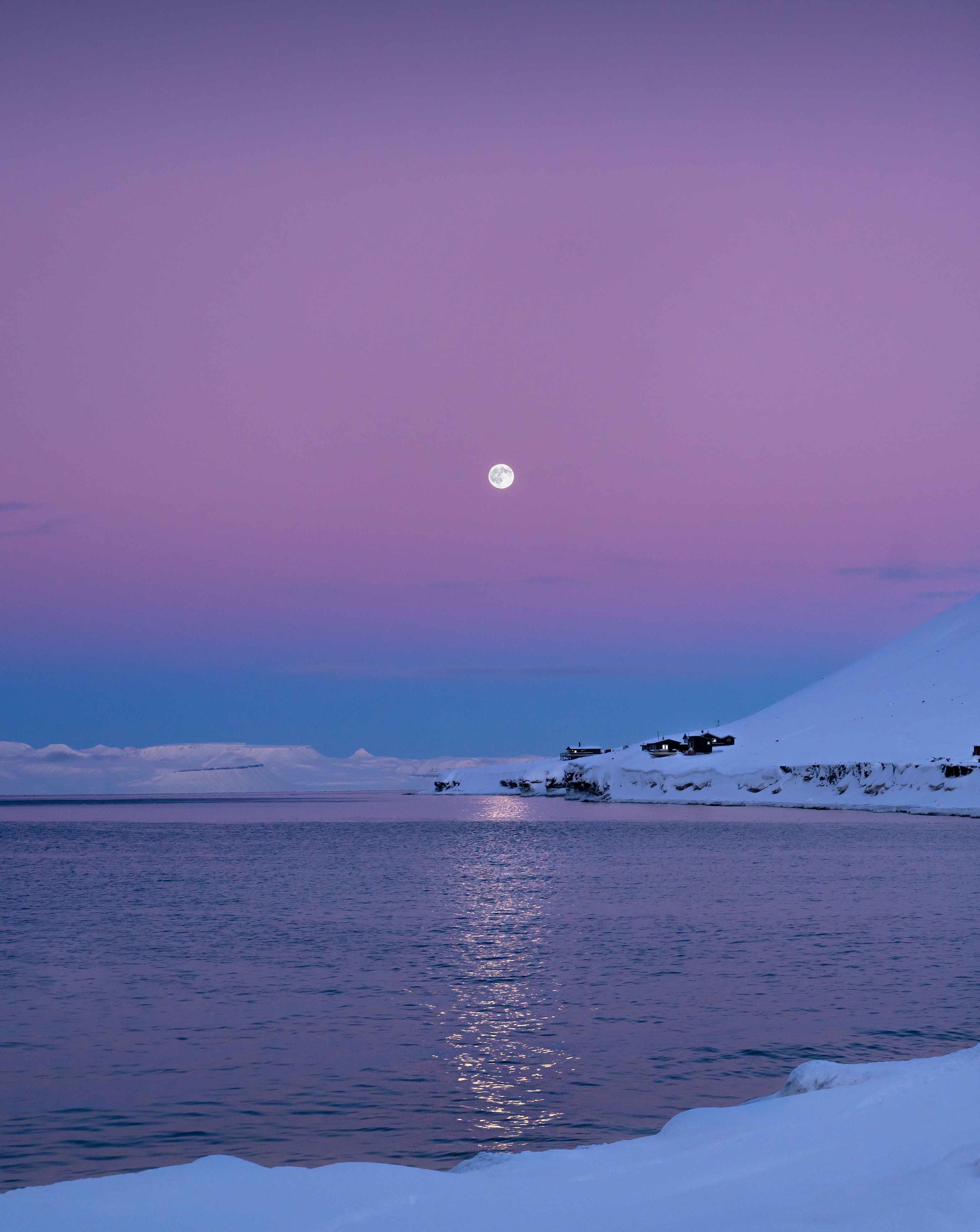 A Beautiful Palette of Pink Hues