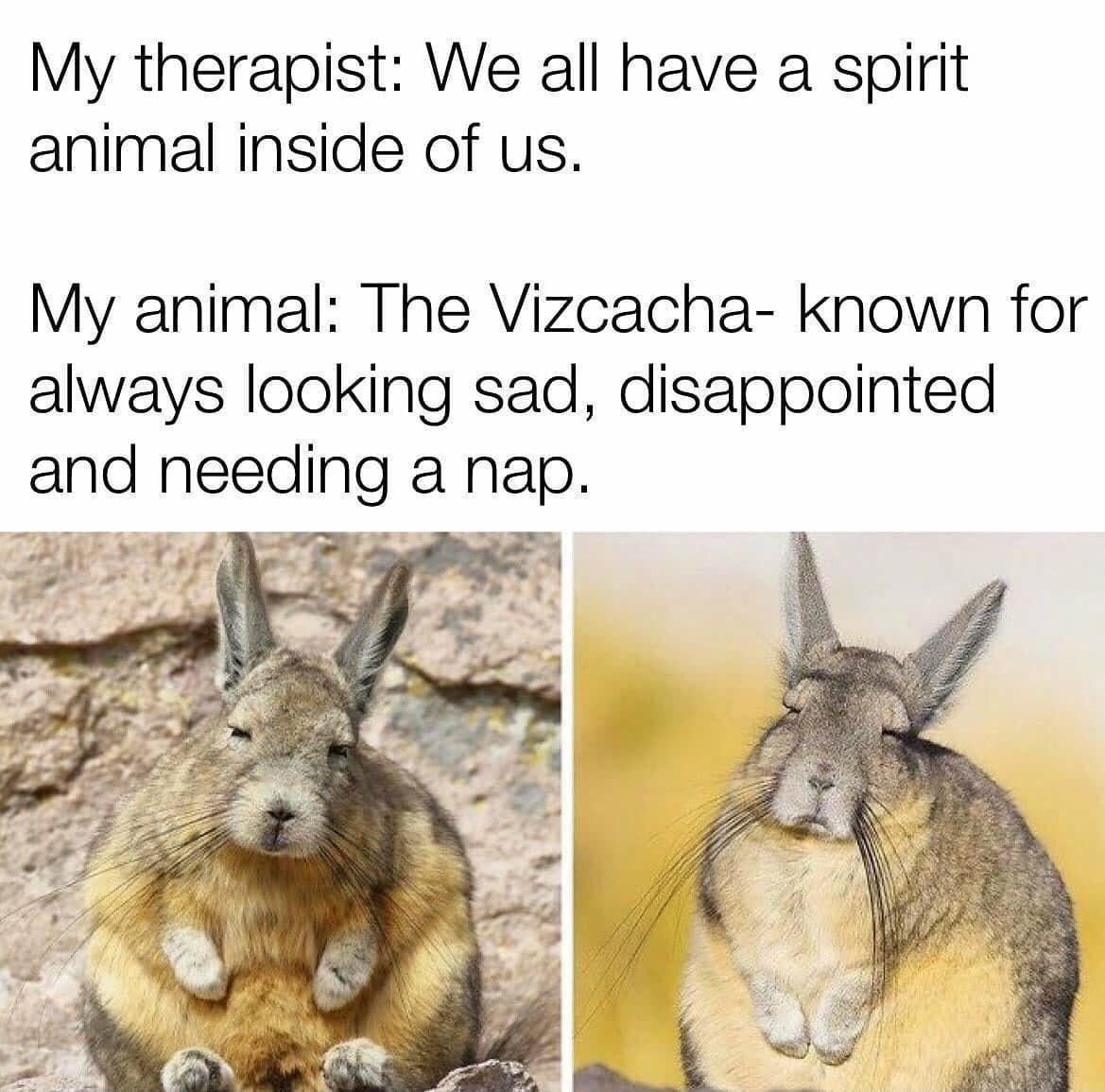 It's Called a Fursona, But Let's Not Overthink It
